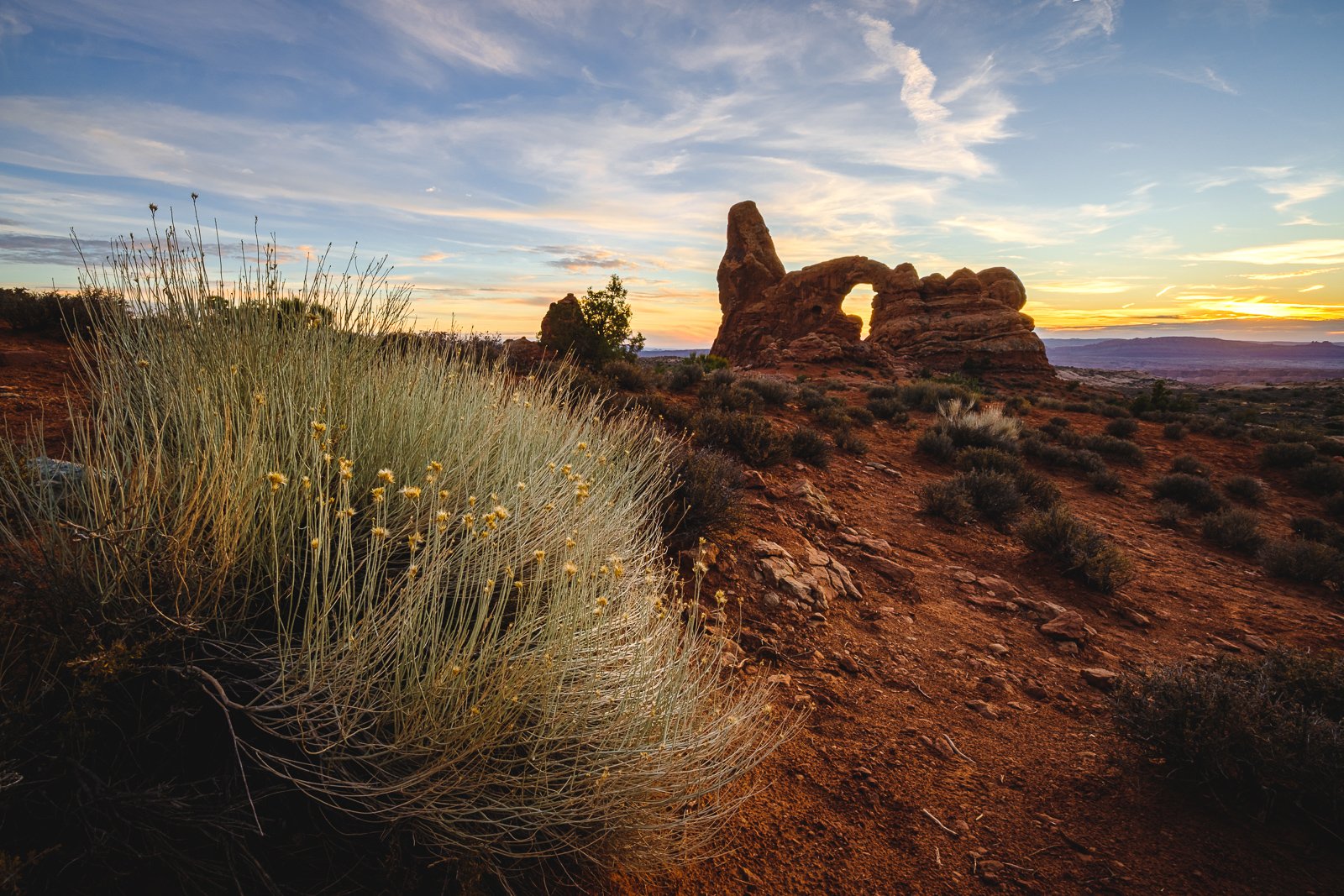 _XT47178-HDR squarespace.jpg