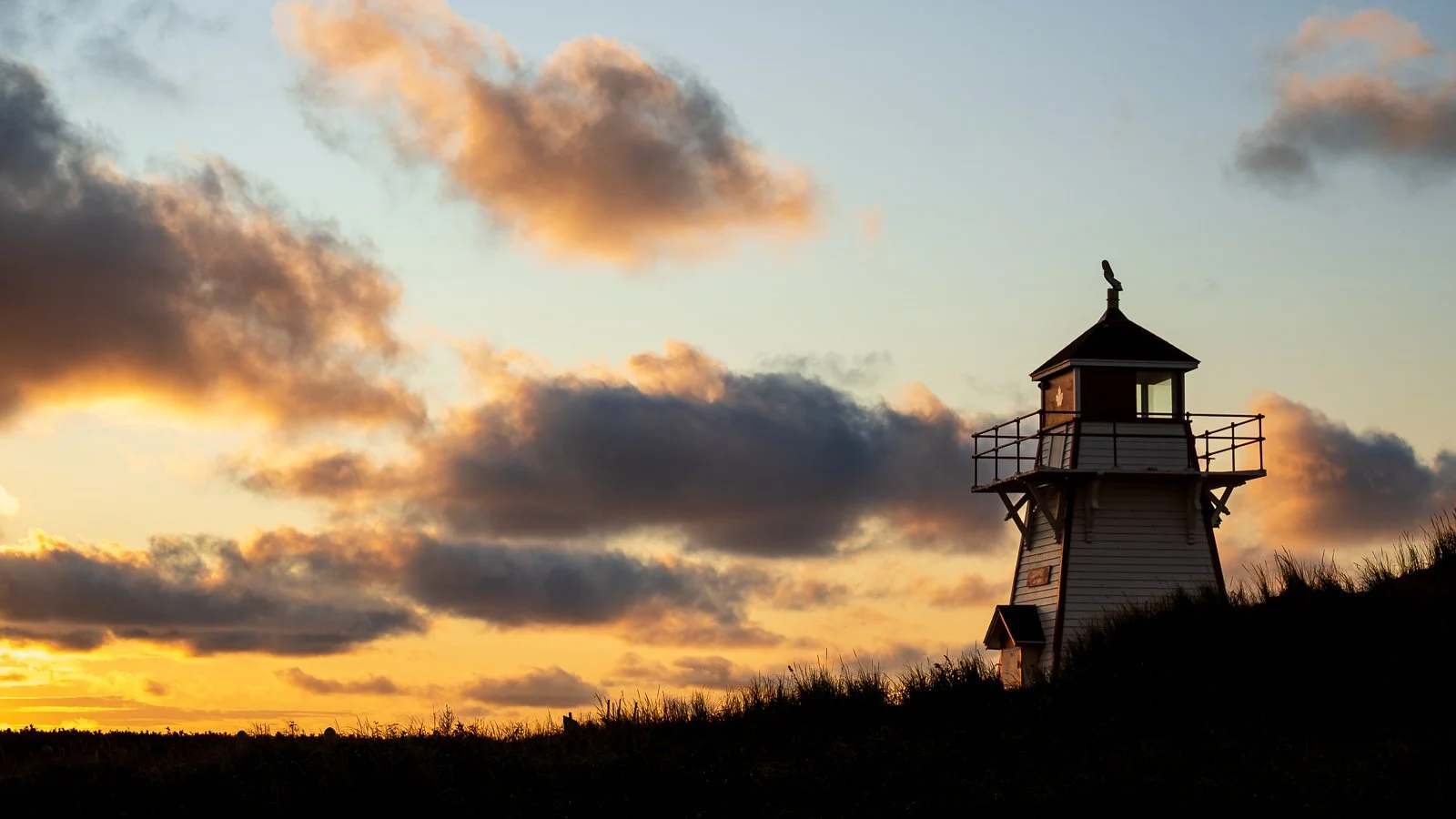 _MMP4085 squarespace.jpg