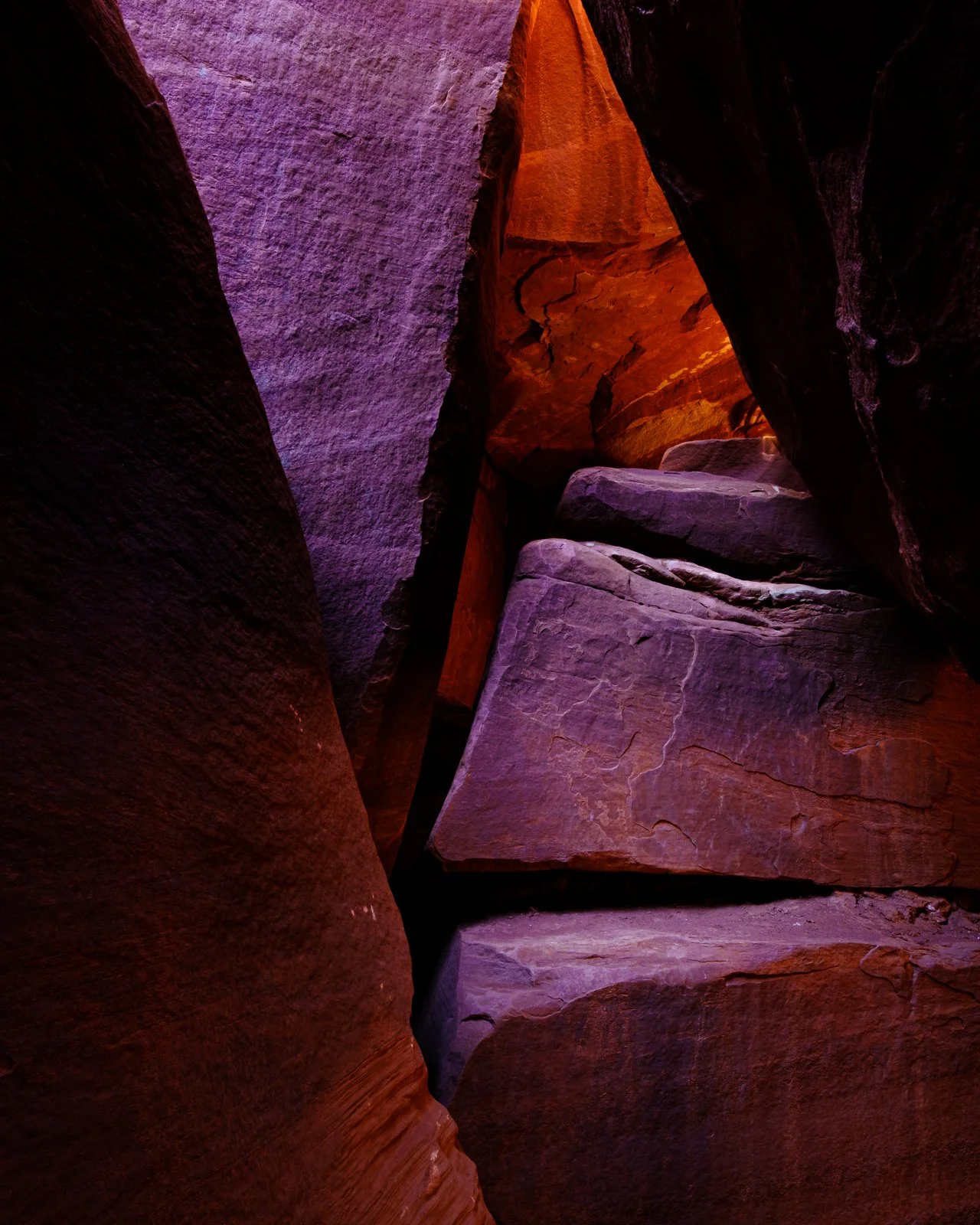_XT47689-1 squarespace.jpg