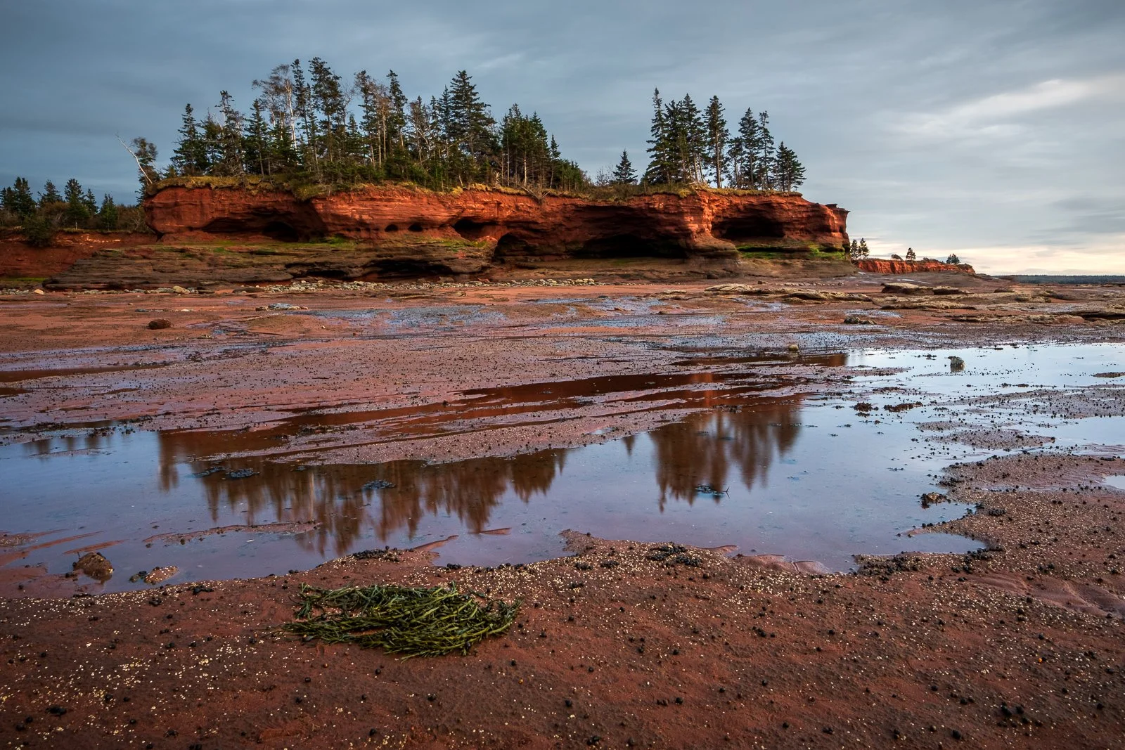 _MMP4834 squarespace.jpg