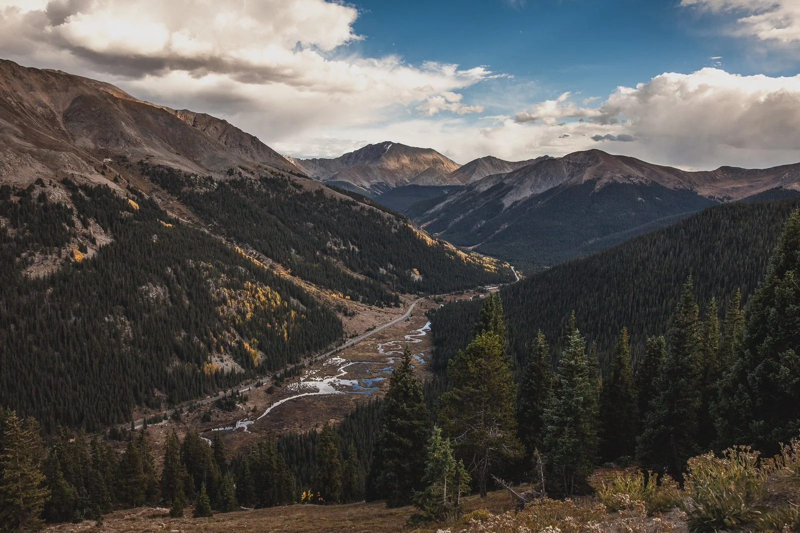 _MG_1689 squarespace.jpg
