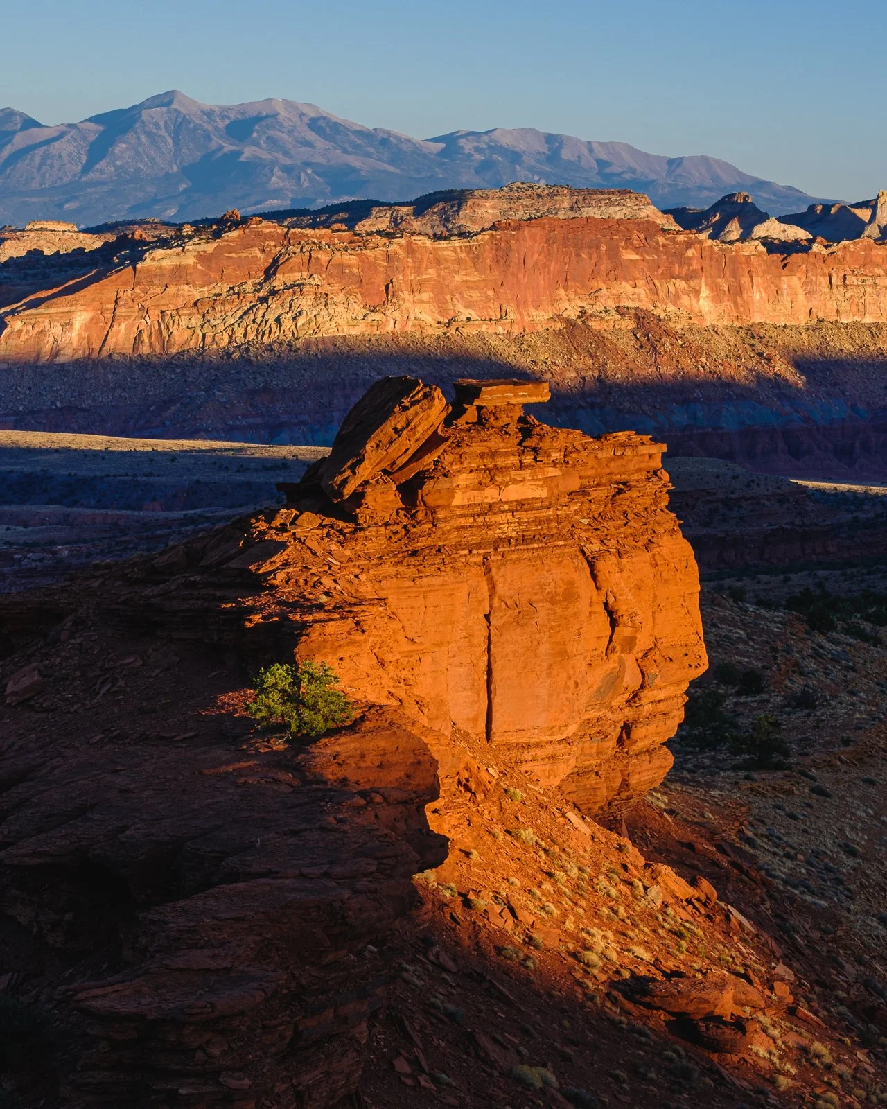 untitled-48318 squarespace.jpg