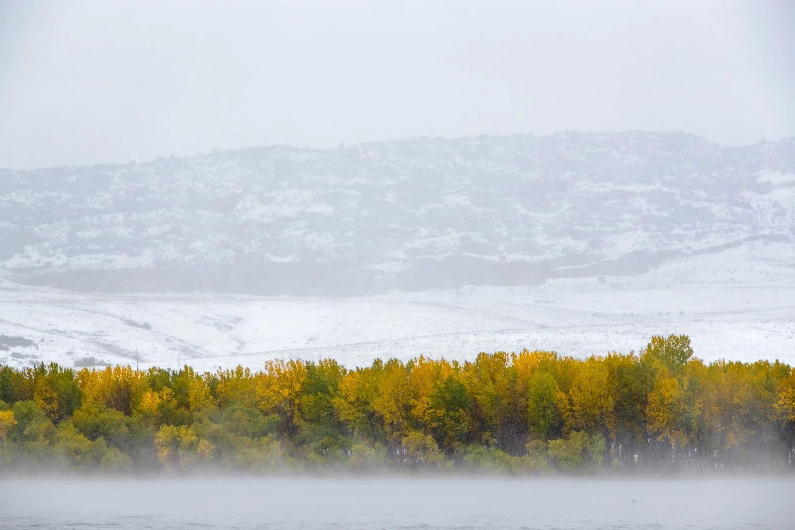20171009 Snowy Autumn-5600 squarespace.jpg
