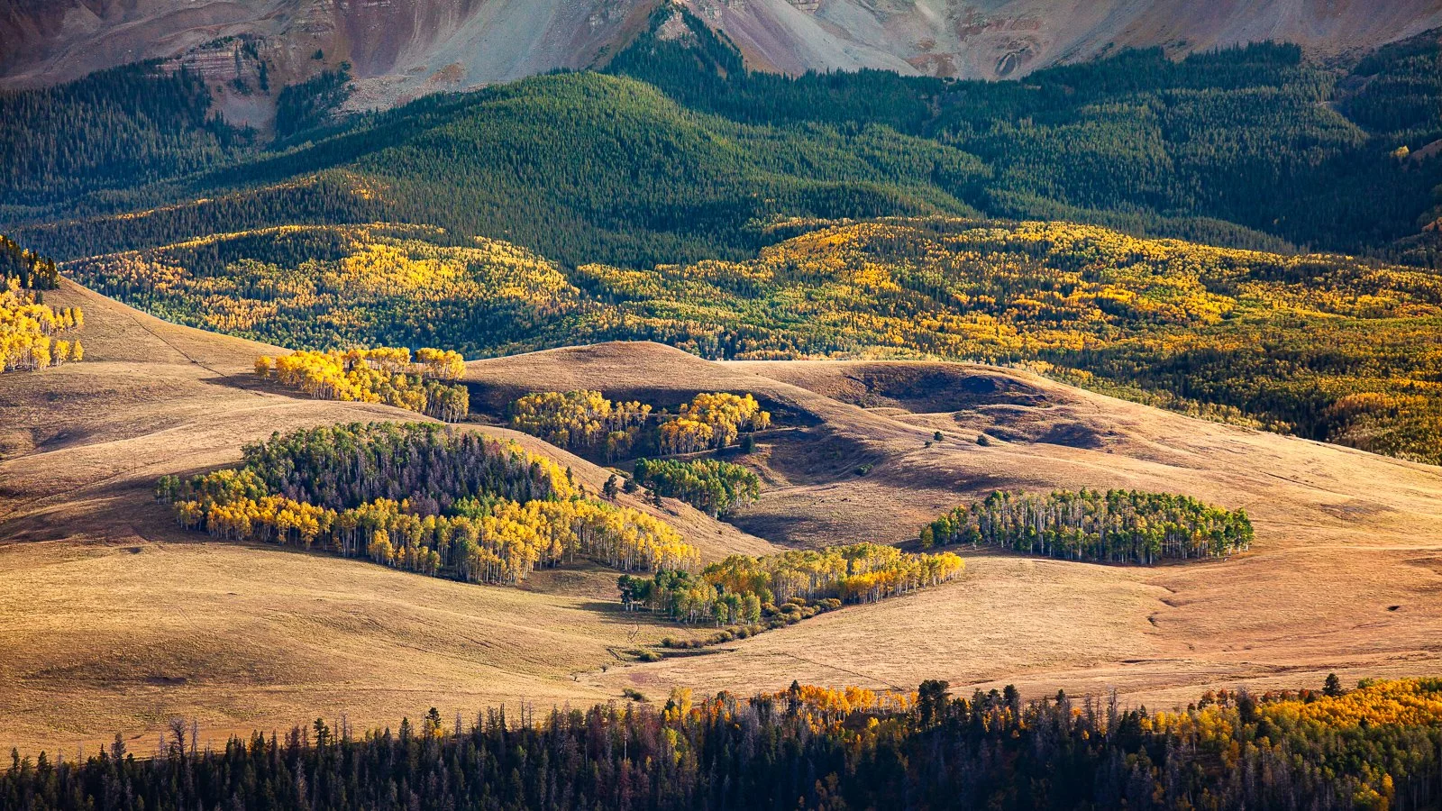 _MG_2939 squarespace.jpg