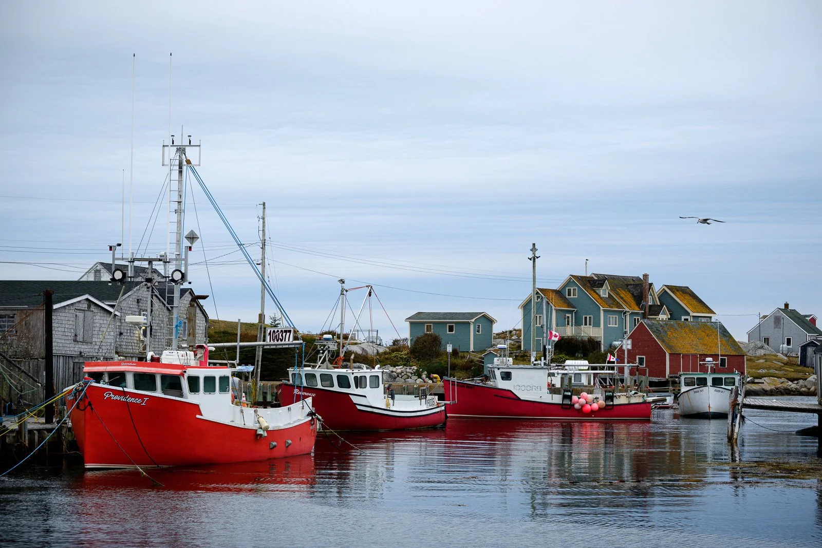 _MMP3878_XT squarespace.jpg