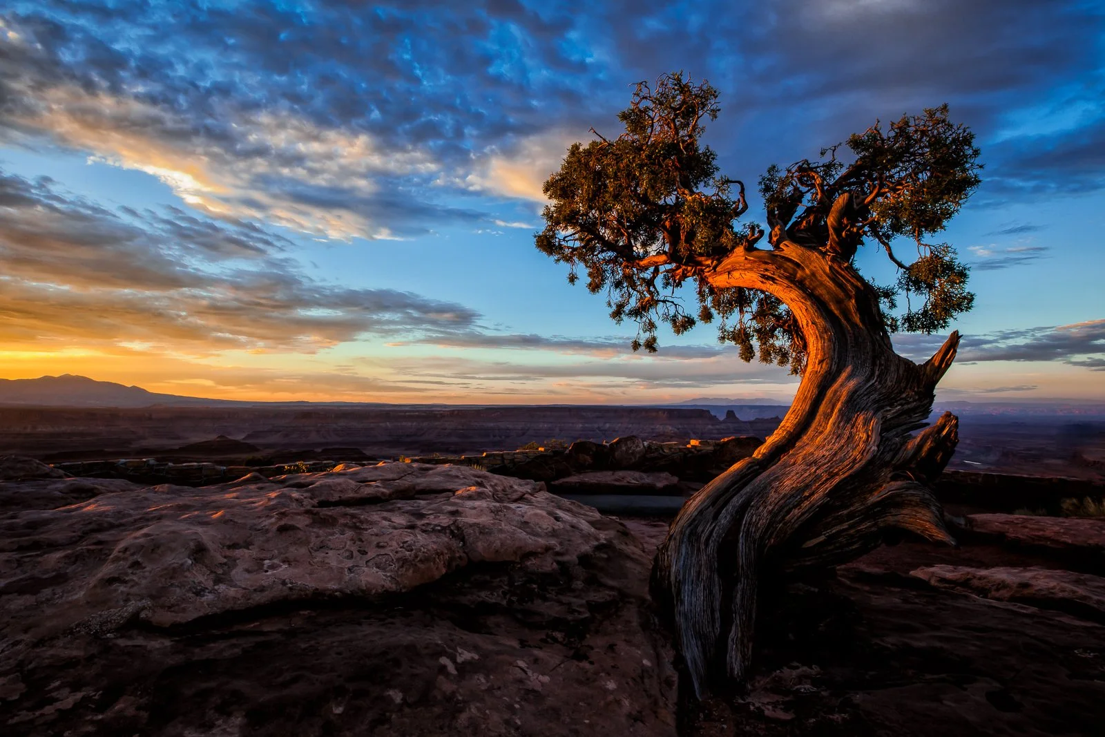 20140723a Dead Horse Point-112-Edit squarespace.jpg