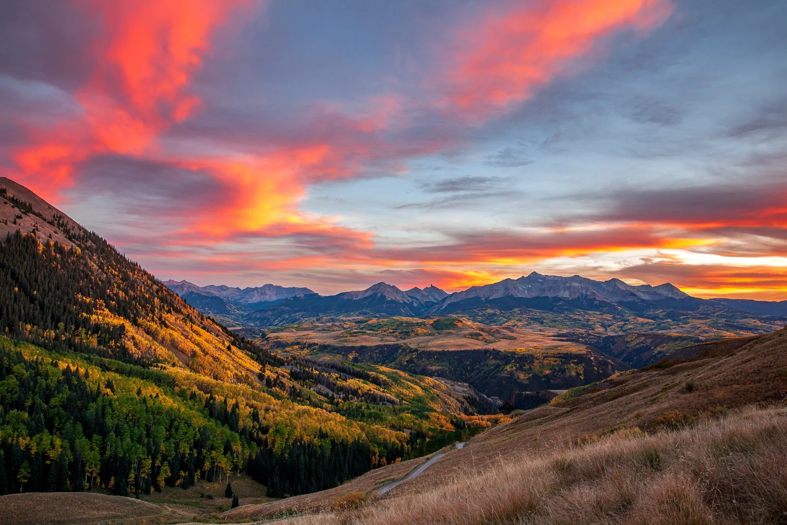 _MG_3002 squarespace.jpg