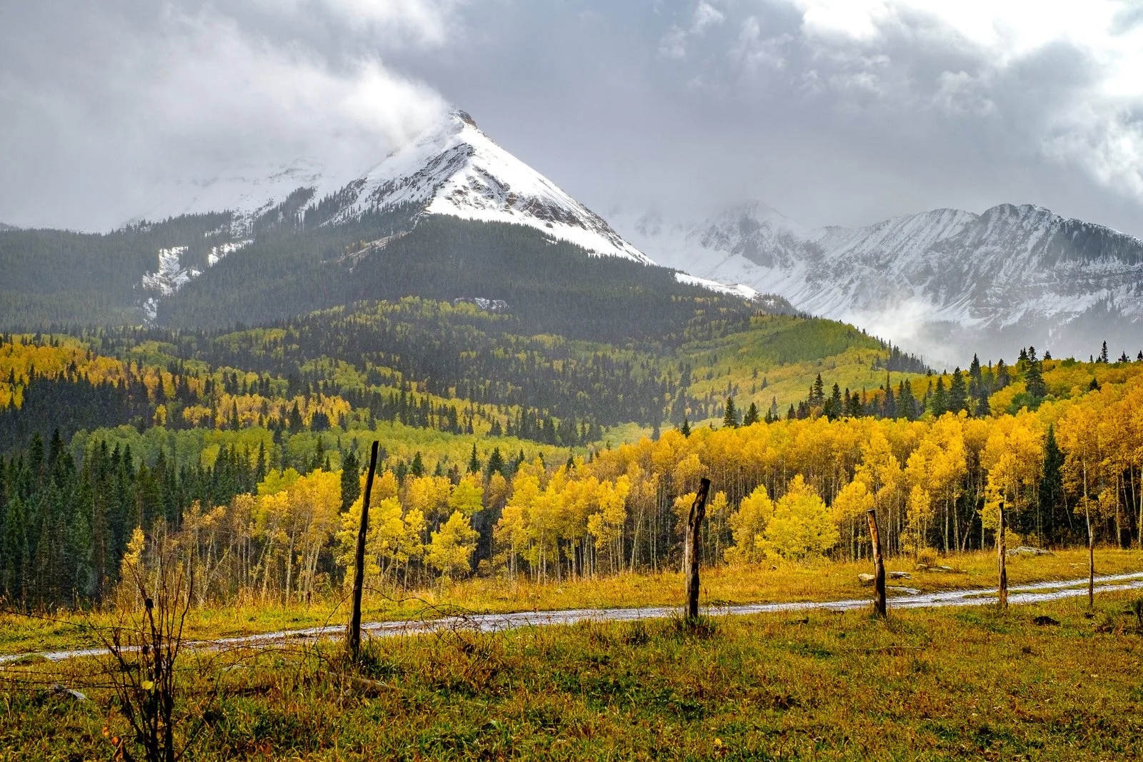 untitled-1374 squarespace.jpg