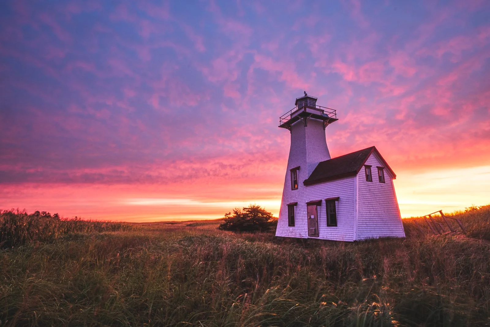 _MMP4680 squarespace.jpg