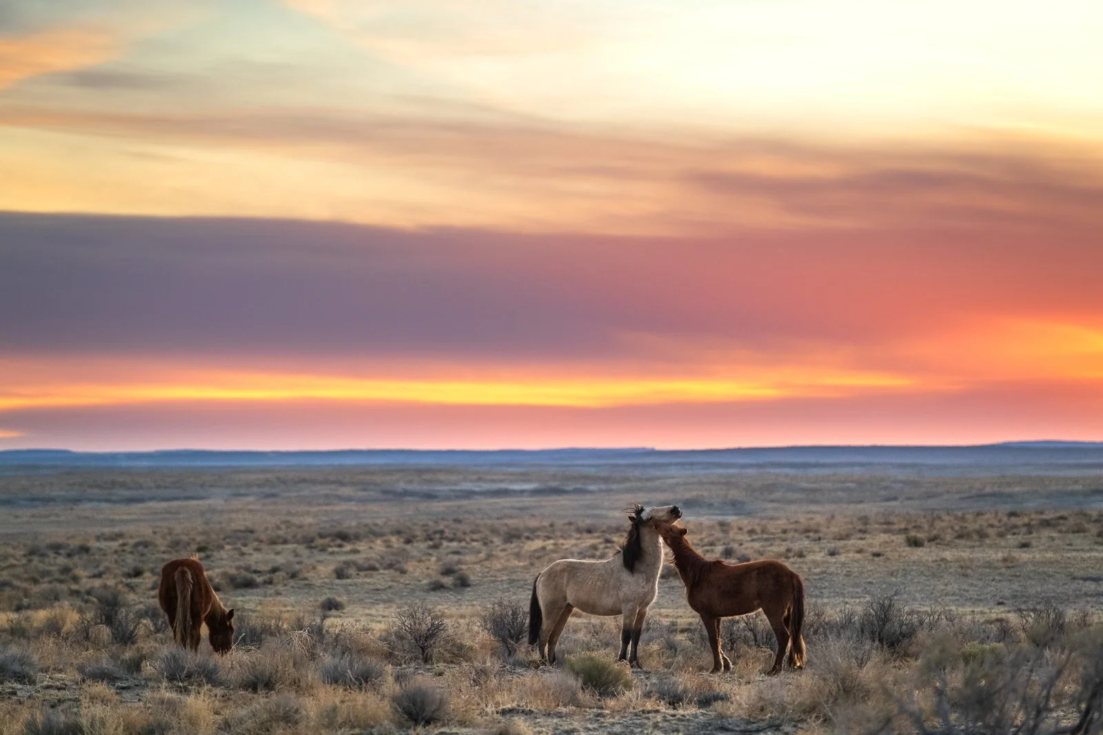 Valley of Dreams-46393 squarespace.jpg