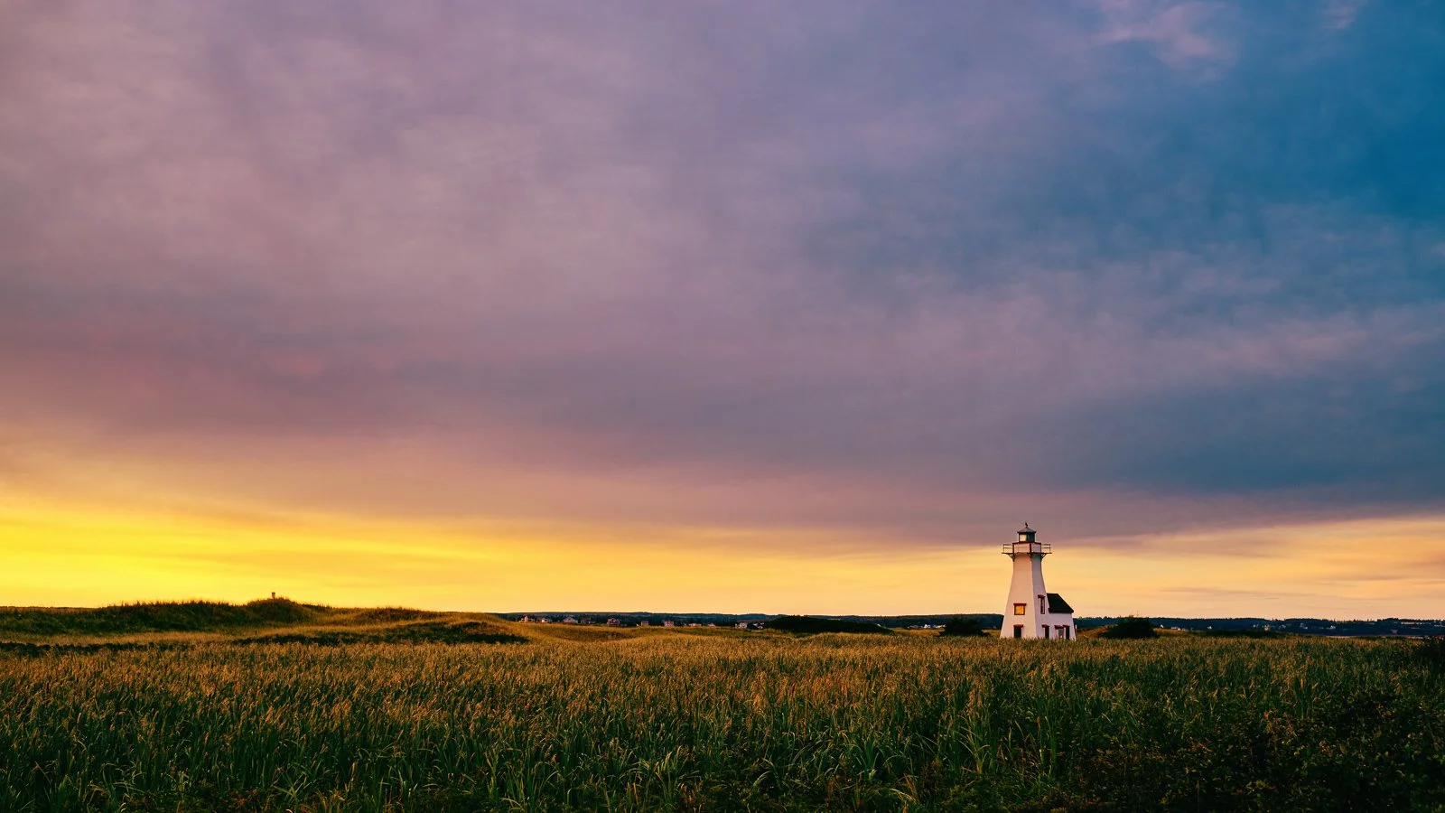 PBYR1605 squarespace.jpg