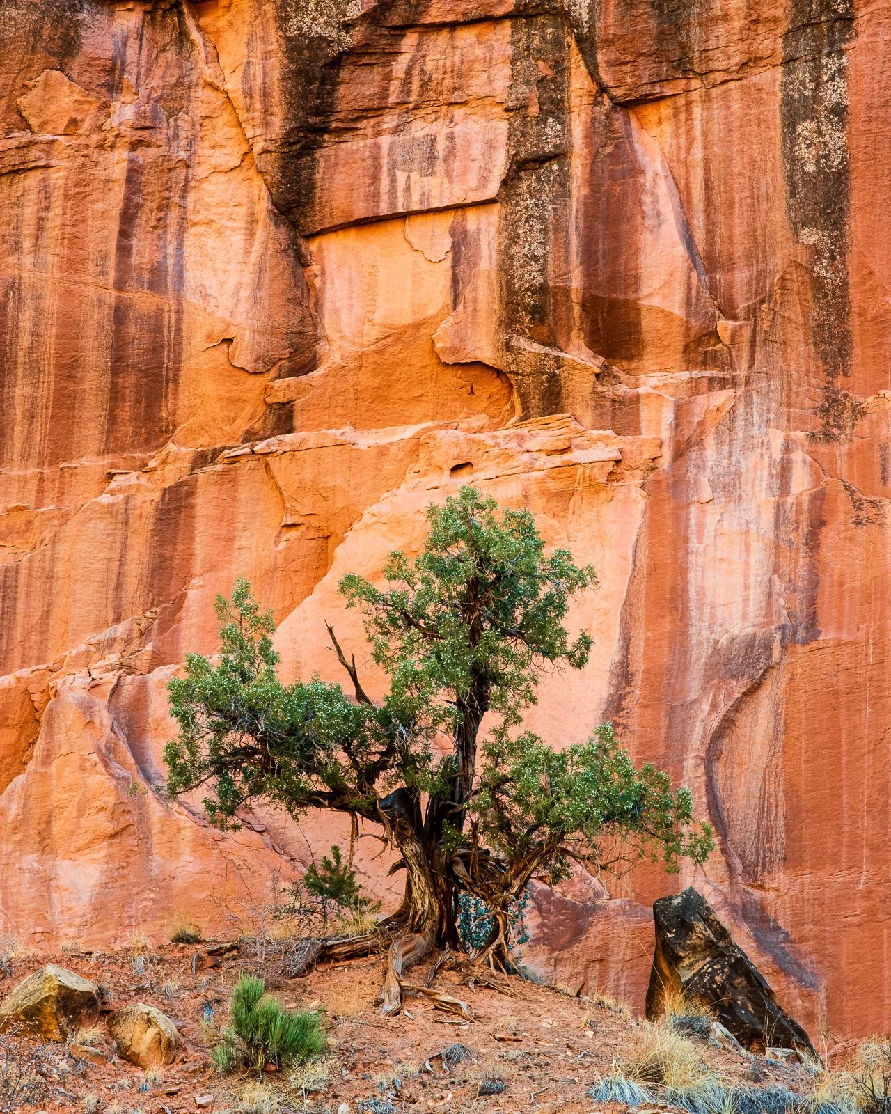 untitled-48255 squarespace.jpg