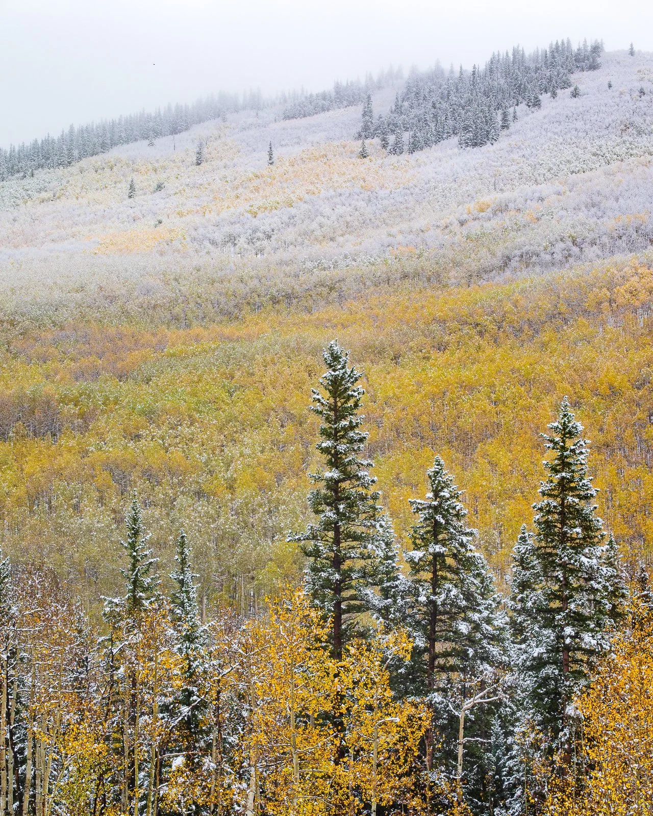 20170928 Falls Colors-1122-Enhanced-SR squarespace.jpg