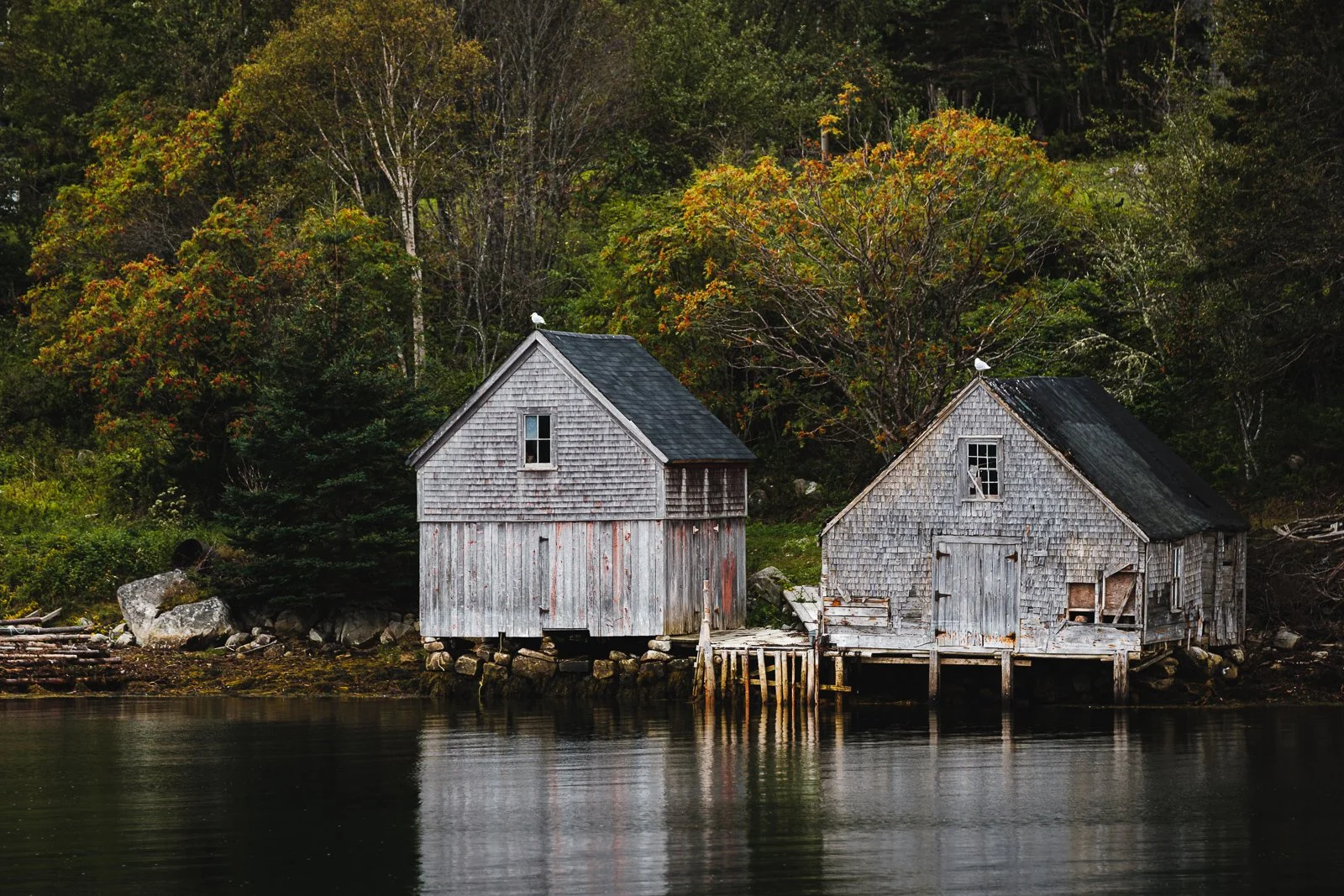 _MMP3922_XT squarespace.jpg