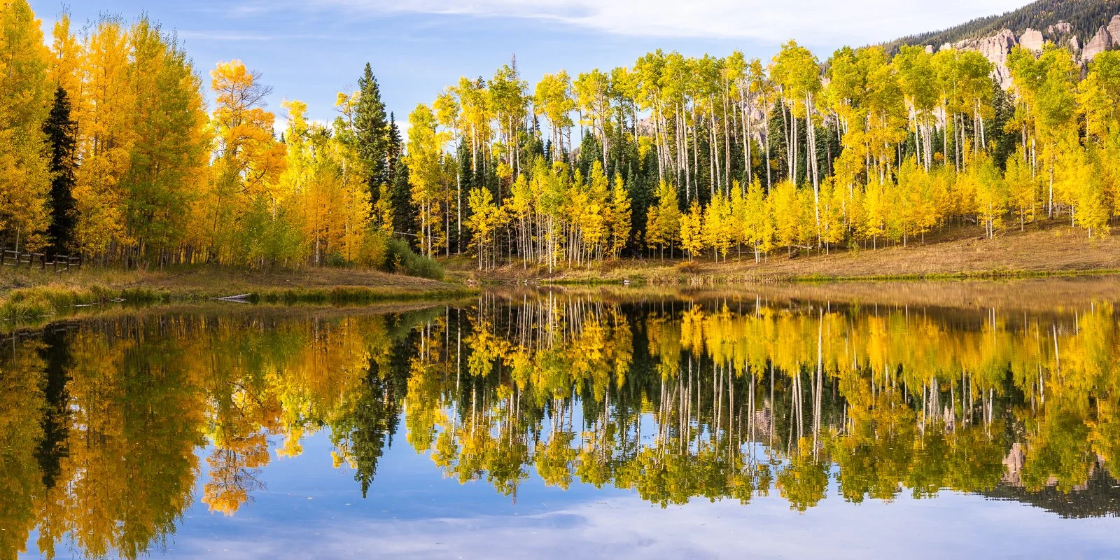 FallTour2023-44434-Pano squarespace.jpg