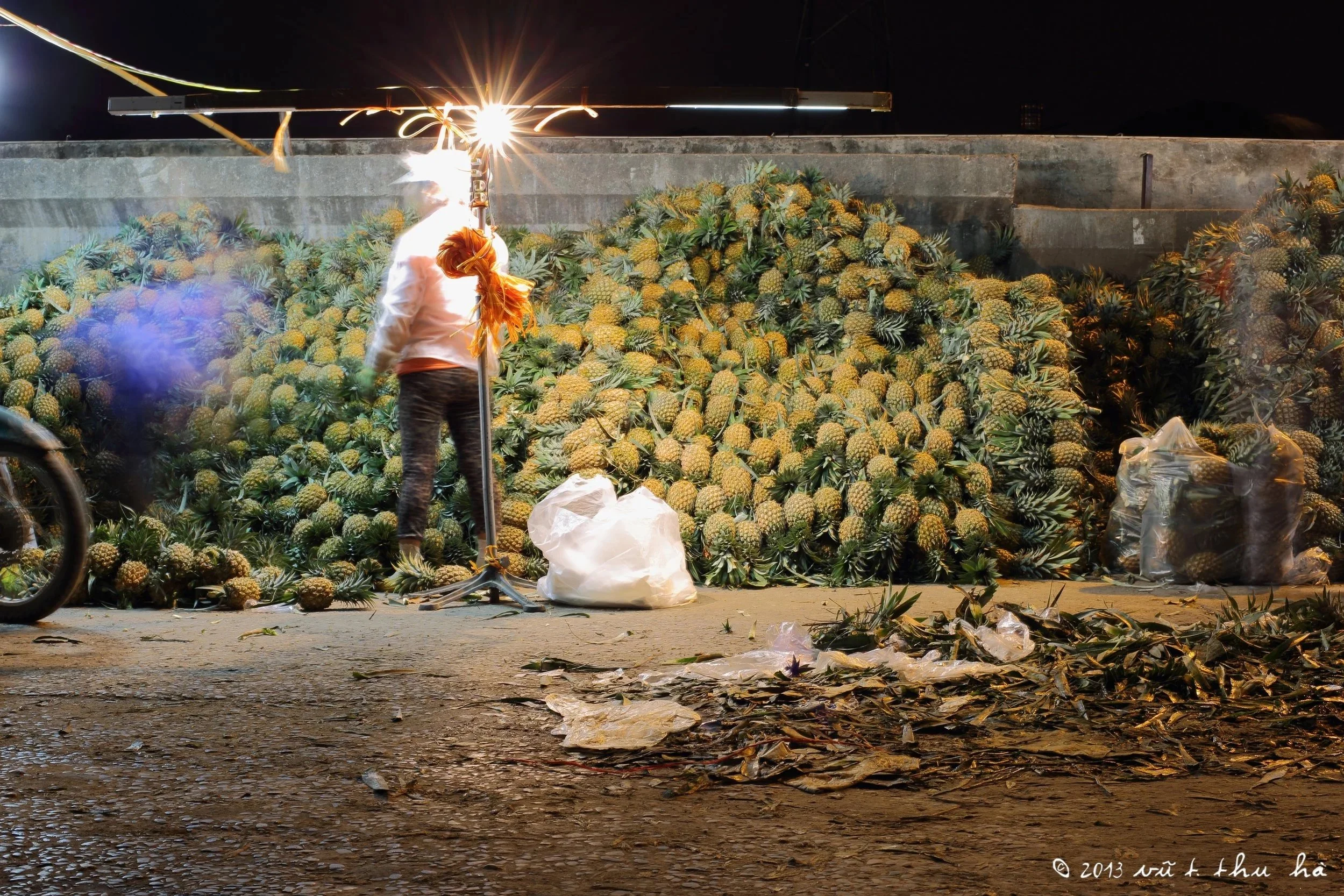 20131125+pineapple+display.jpg