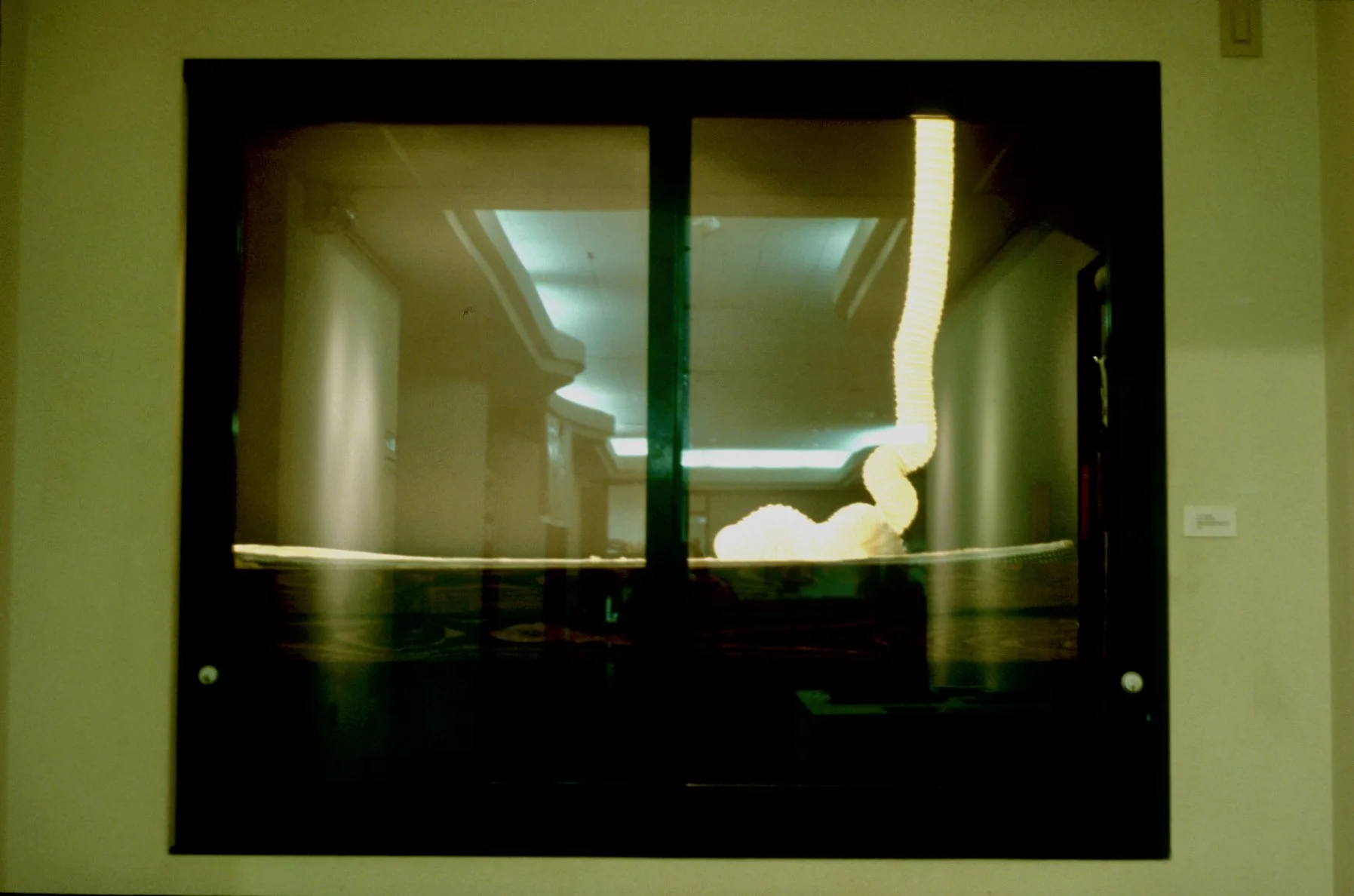 Untitled, 2001