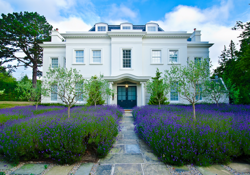 shutterstock_146872022 MEDIUM LAVENDER PALACE.jpg