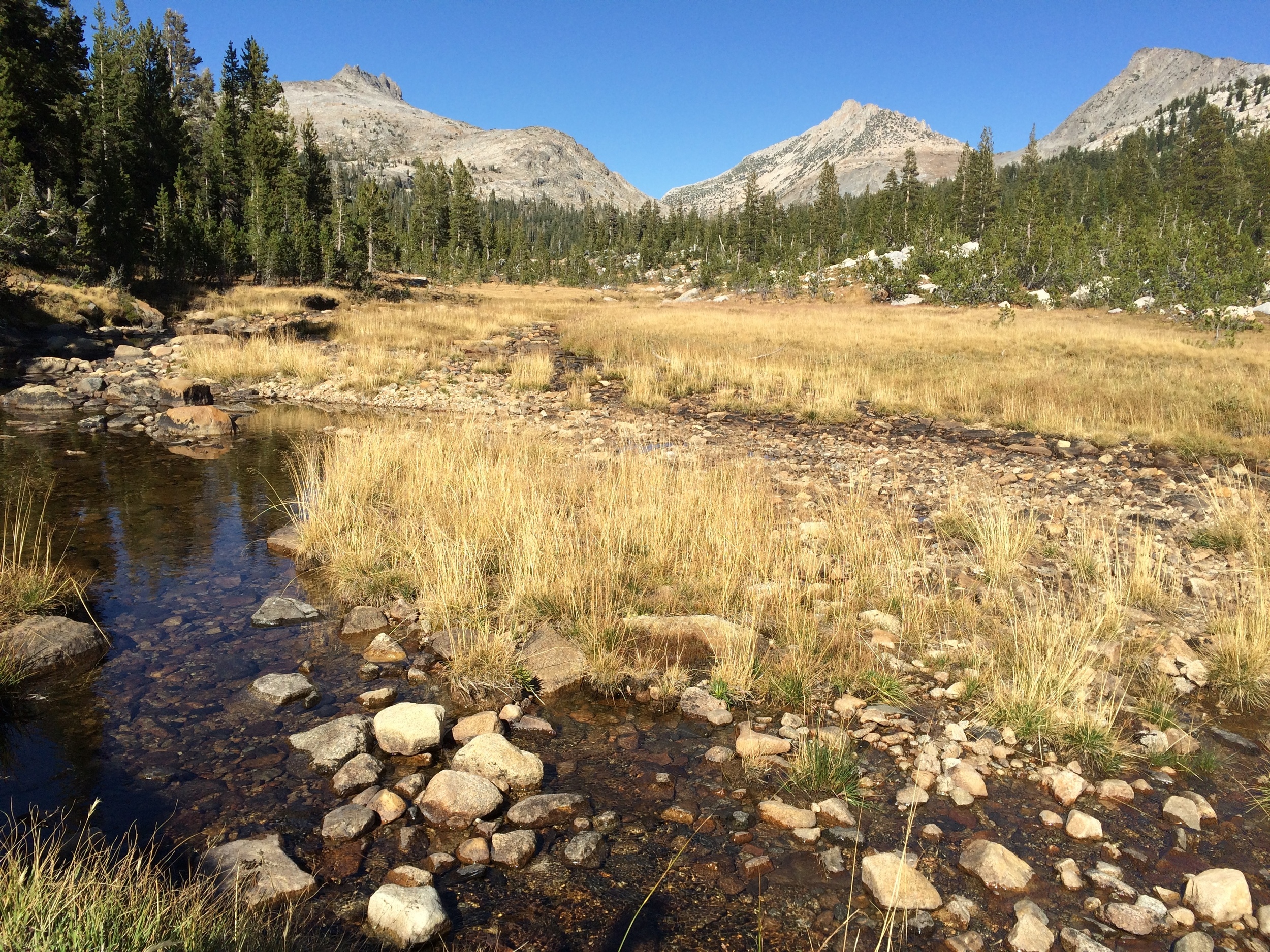 Northern Yosemite | Hetch Hetchy | Sept 2015