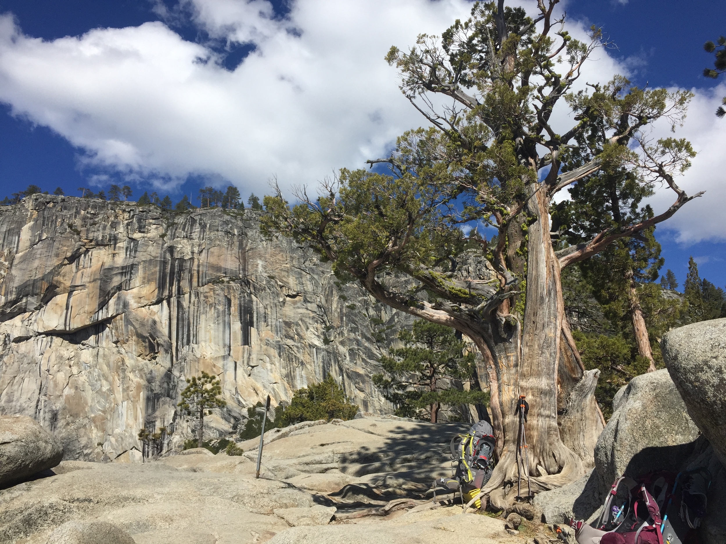 Upper Yosemite Falls Overlook