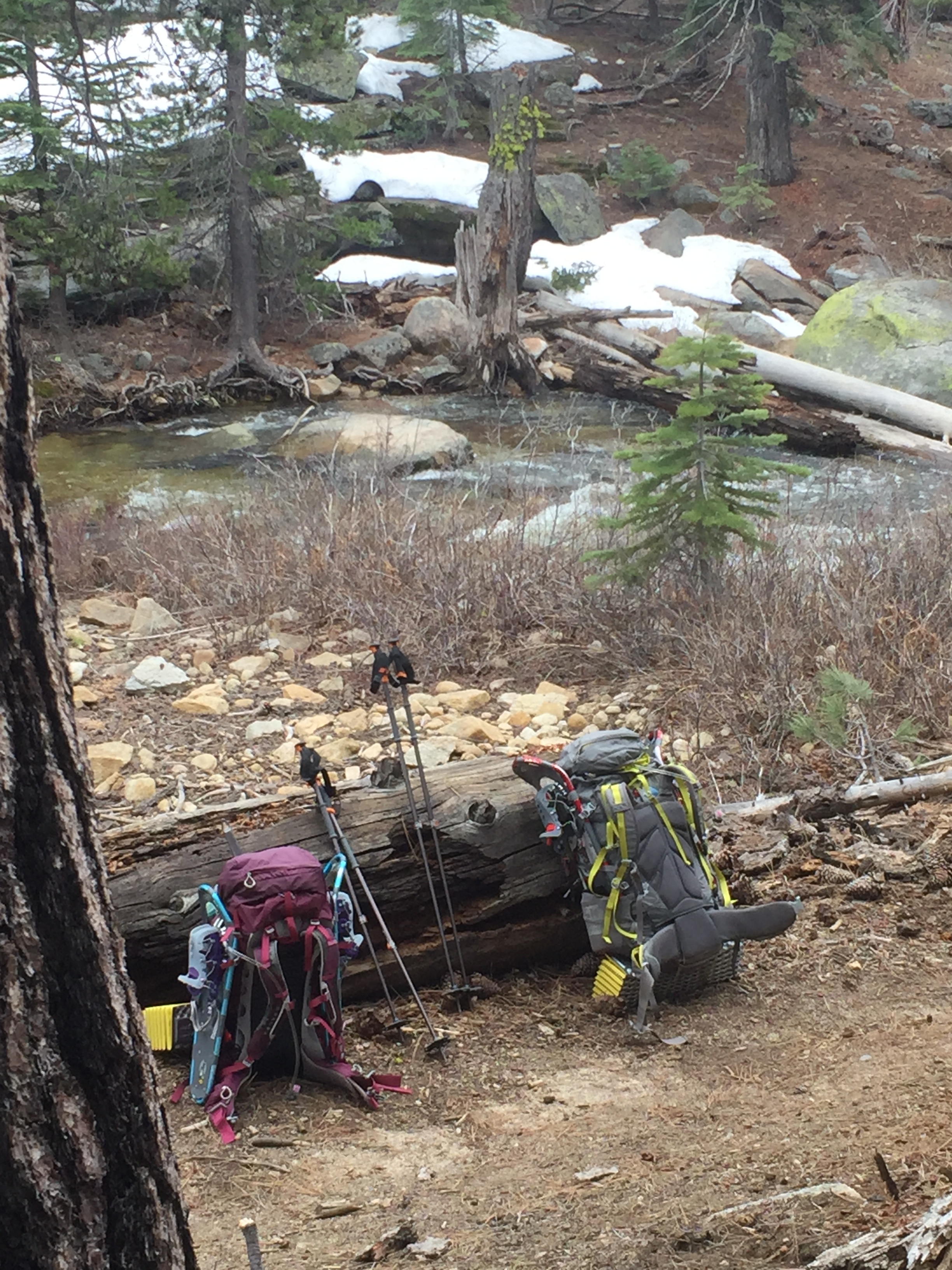 Snow Creek at the Tenaya Lake trail junction