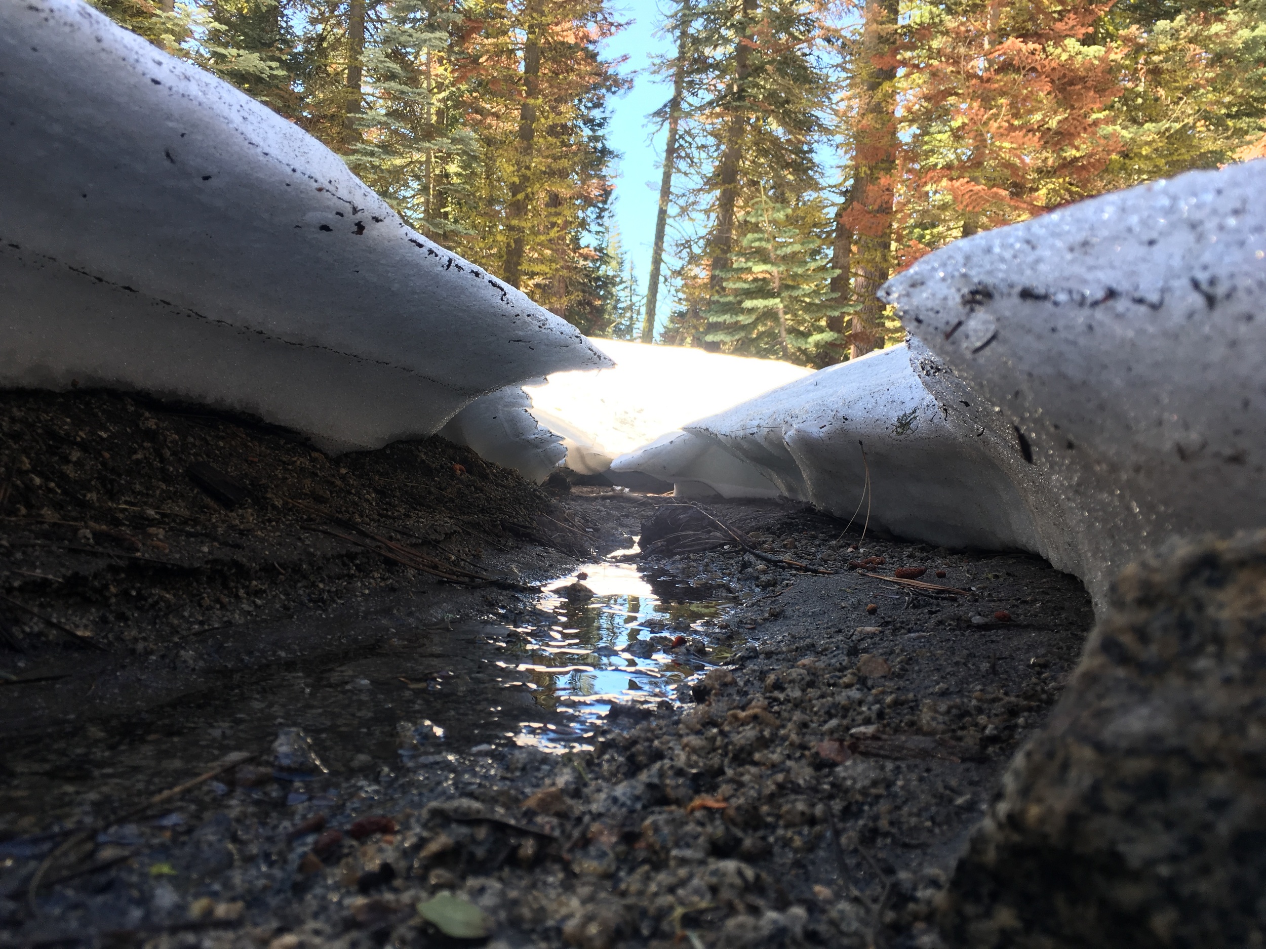 Runoff along the Lehamite Creek trail