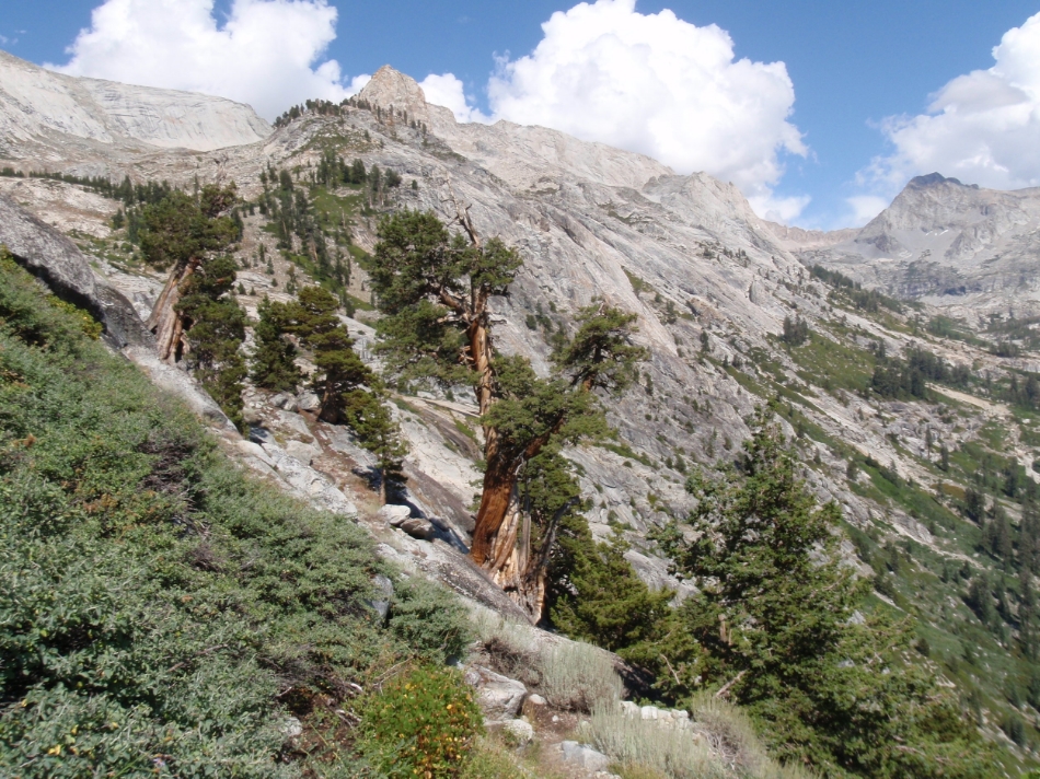 View from base of Lone Pine Canyon - Tableland to the left & shelf holding Tamarack Lake to the right