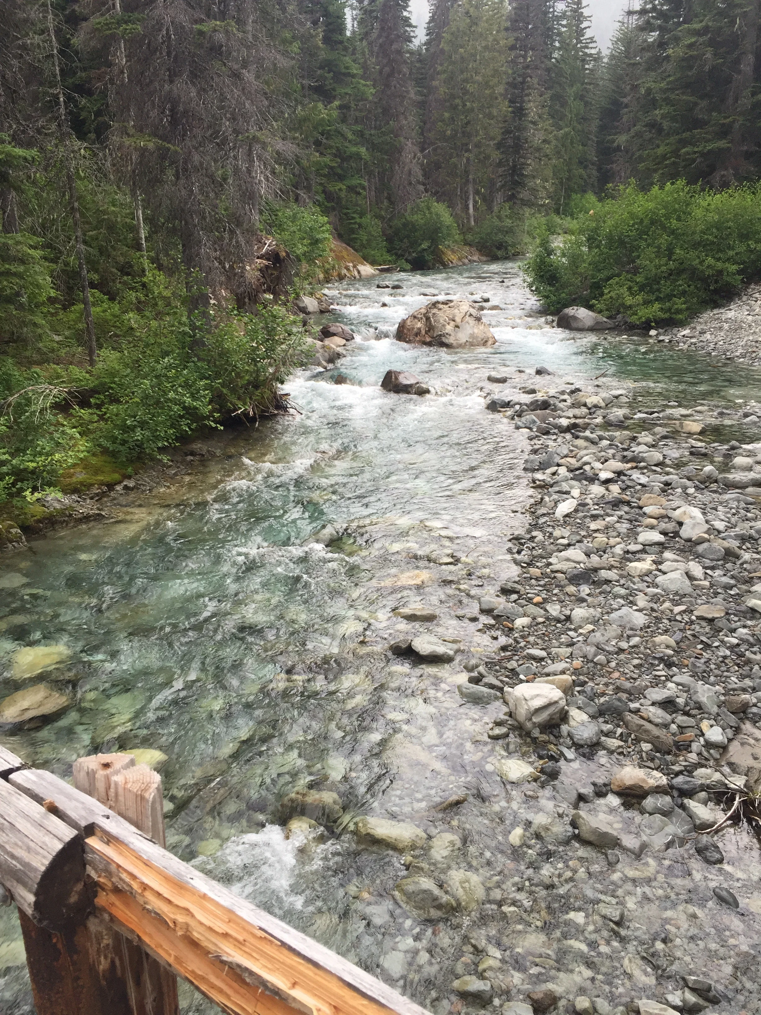 The Waptus River on a grey morning