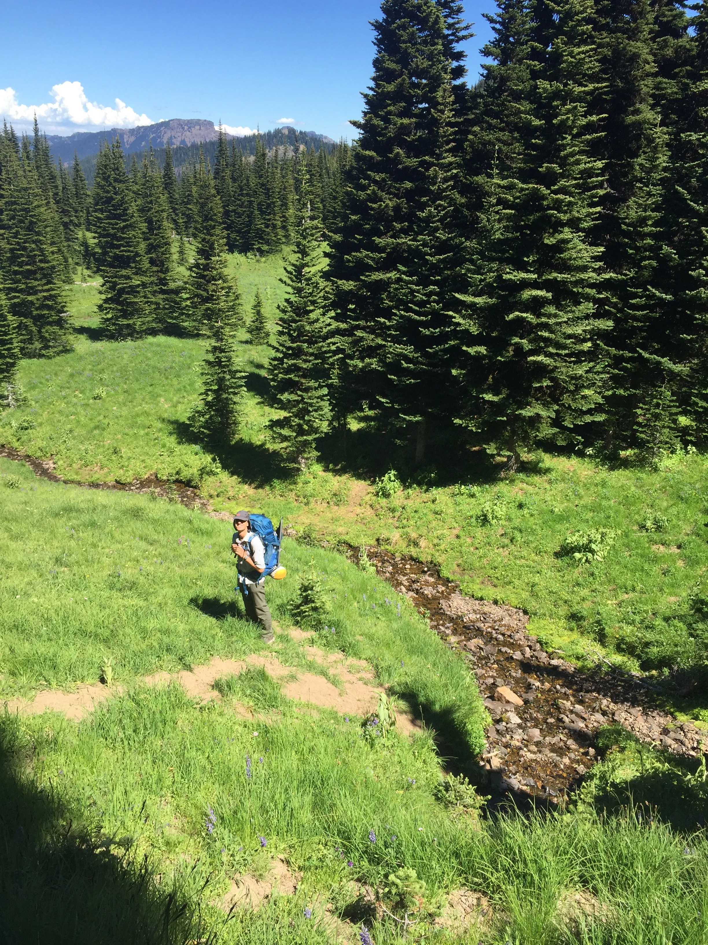 Macro selects a tortilla spot along this spring-fed creek in Big Crow Basin