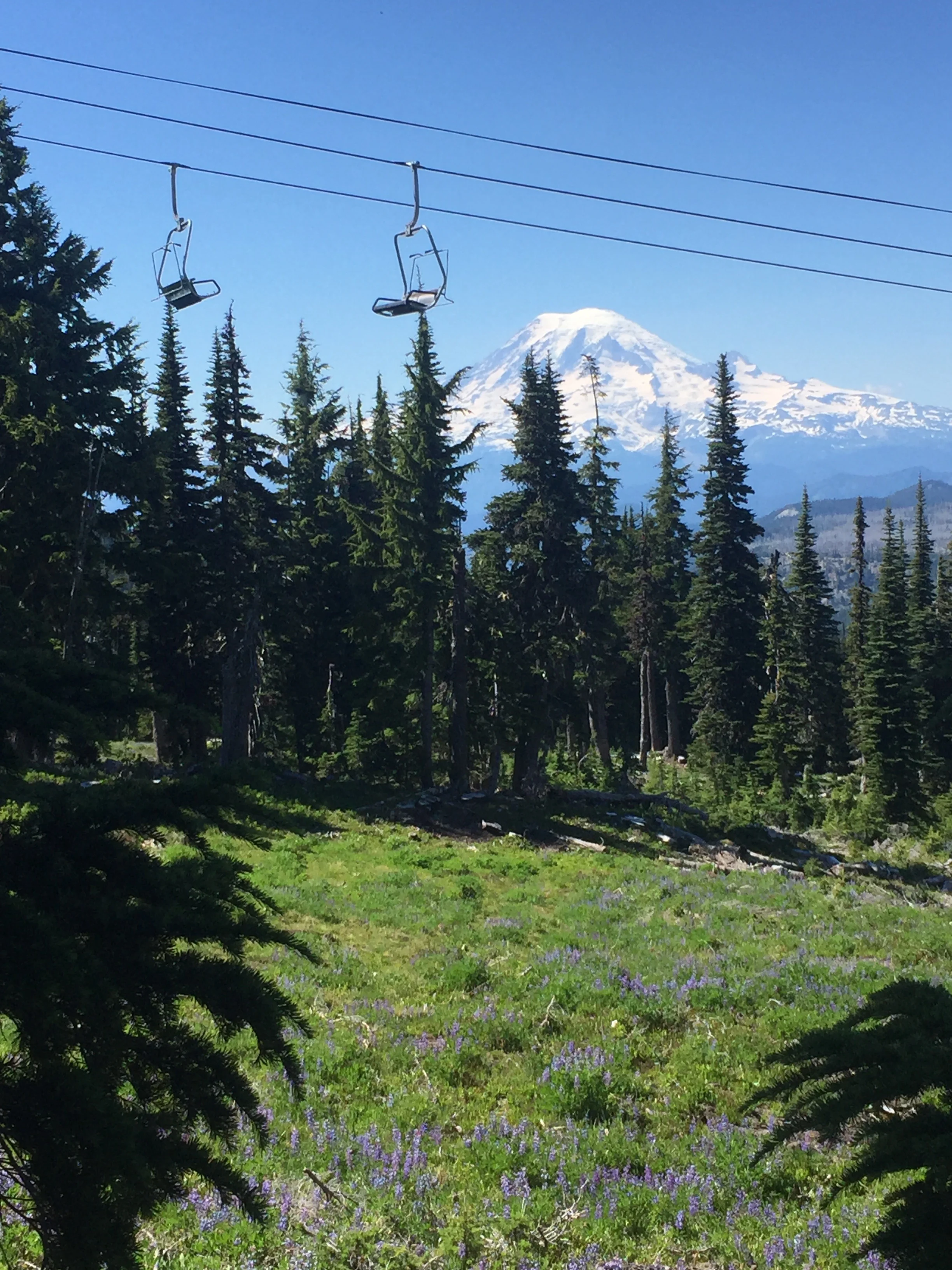 Mt Rainier rising behind the slopes of White Pass