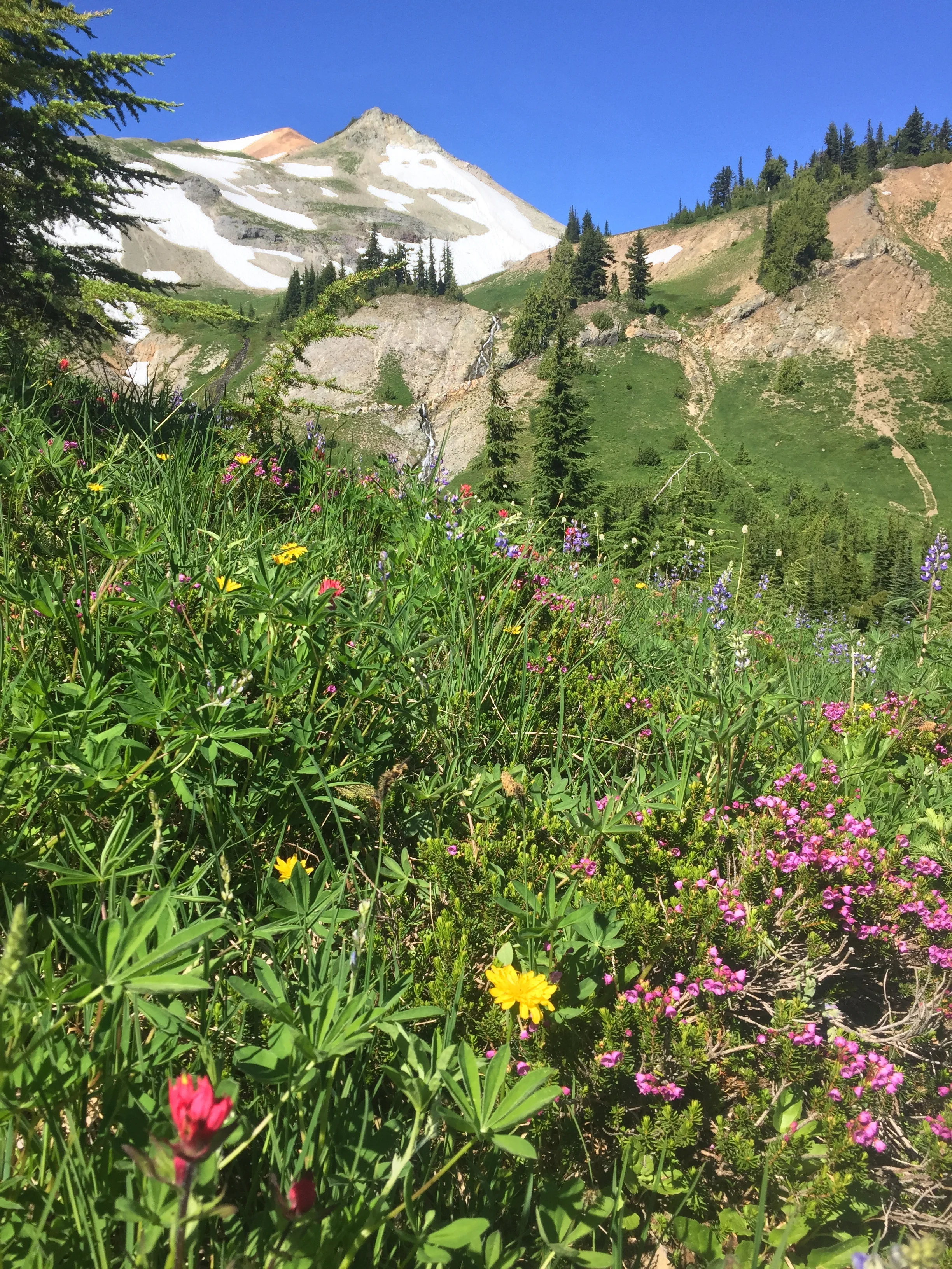 Our first taste of the high country below Old Snowy makes us want to sing