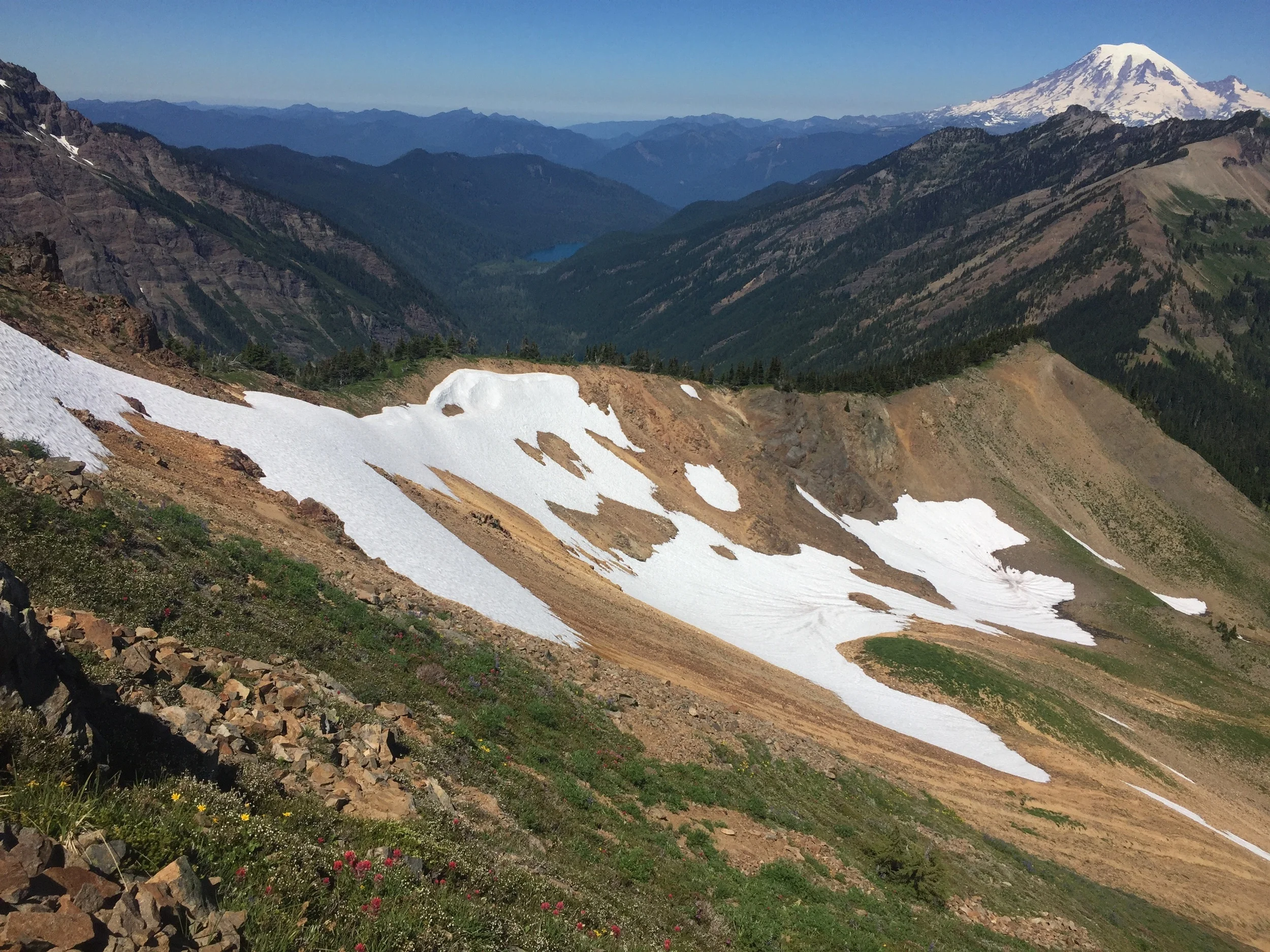 Views for days as we reach the first ridge (& Mt Rainier, naturally)