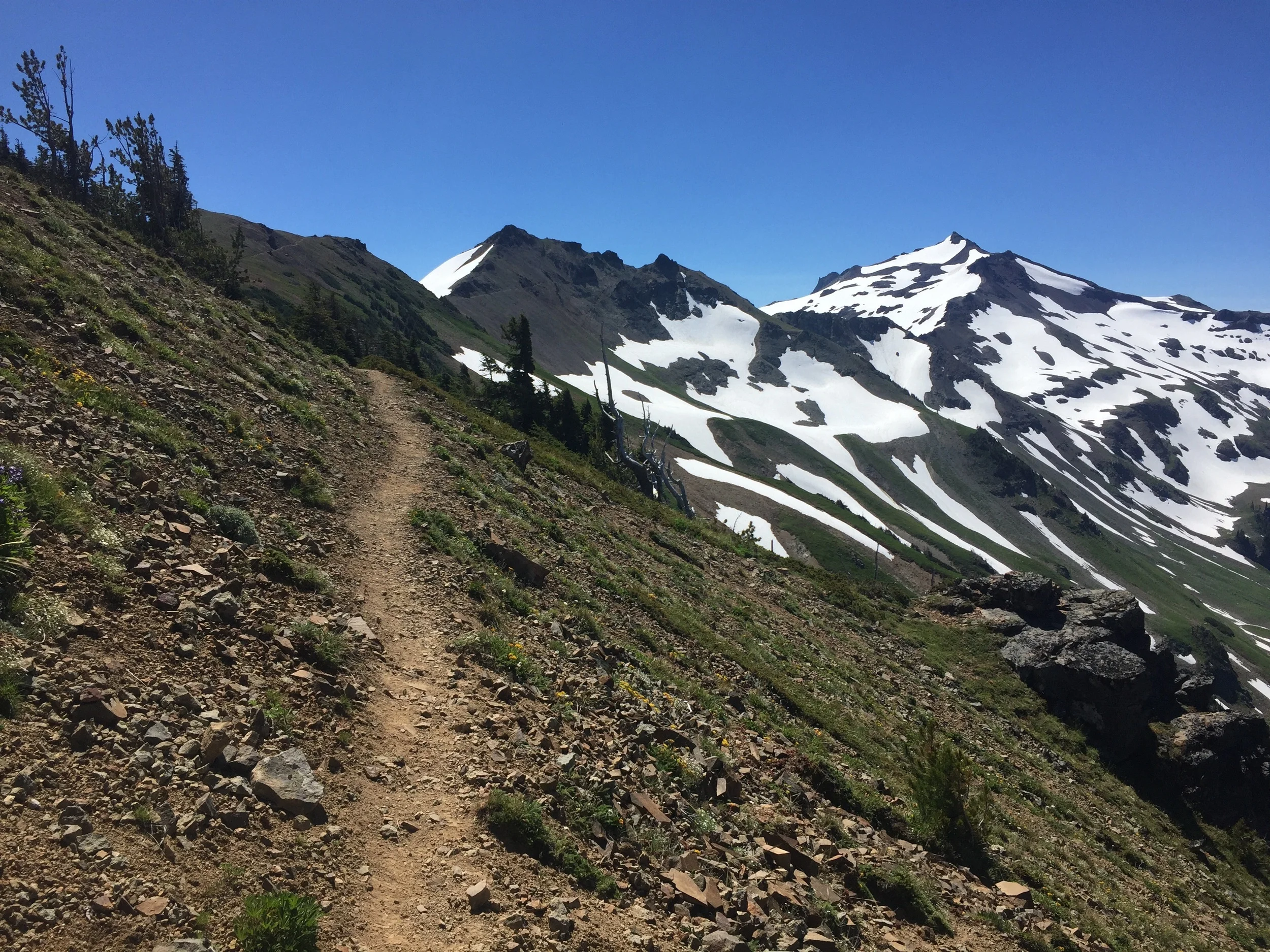 Old Snowy Mtn & the Packwood Glacier