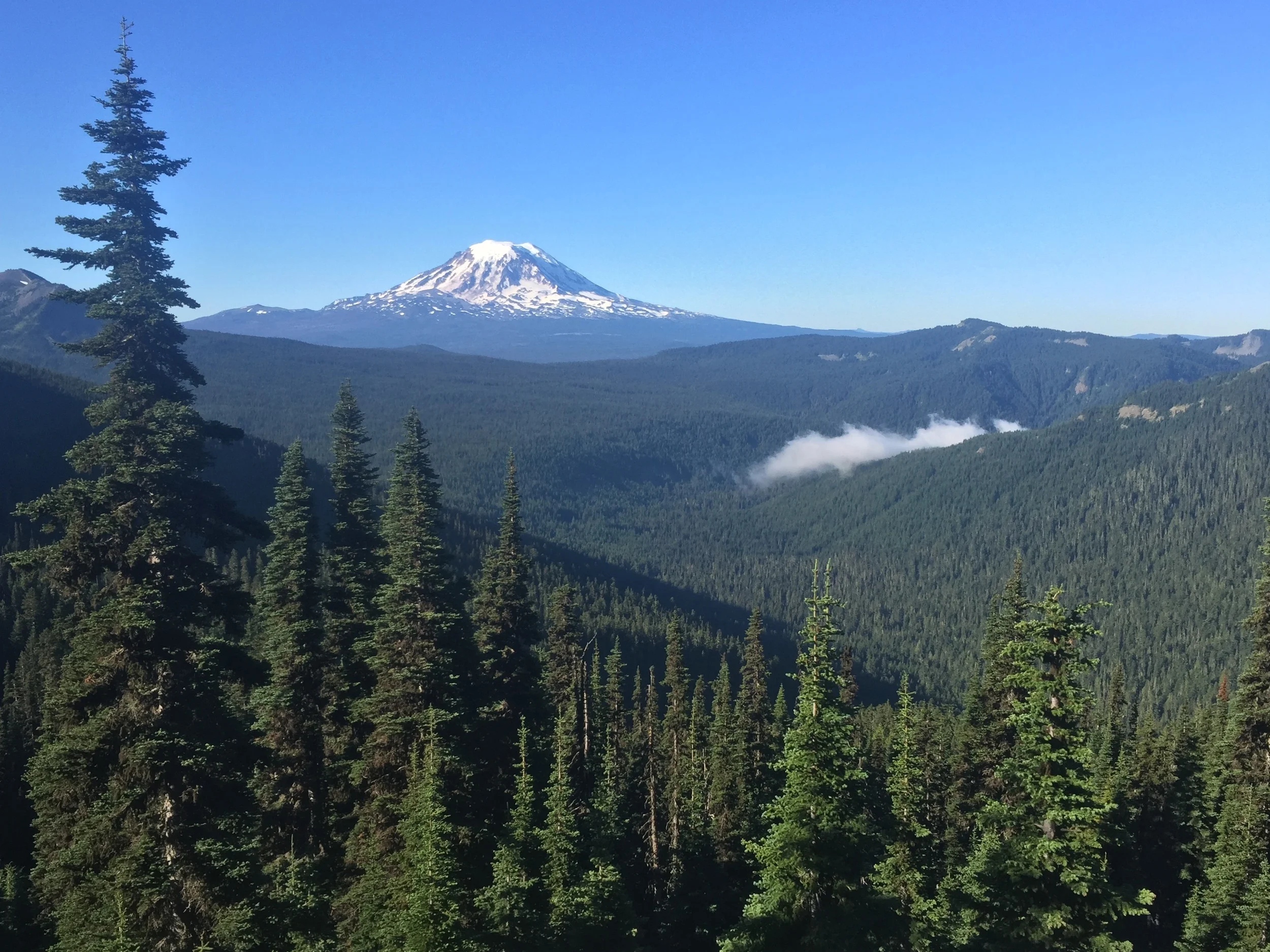 Mt. Adams and the last of the morning mist leaving Sheep Lake