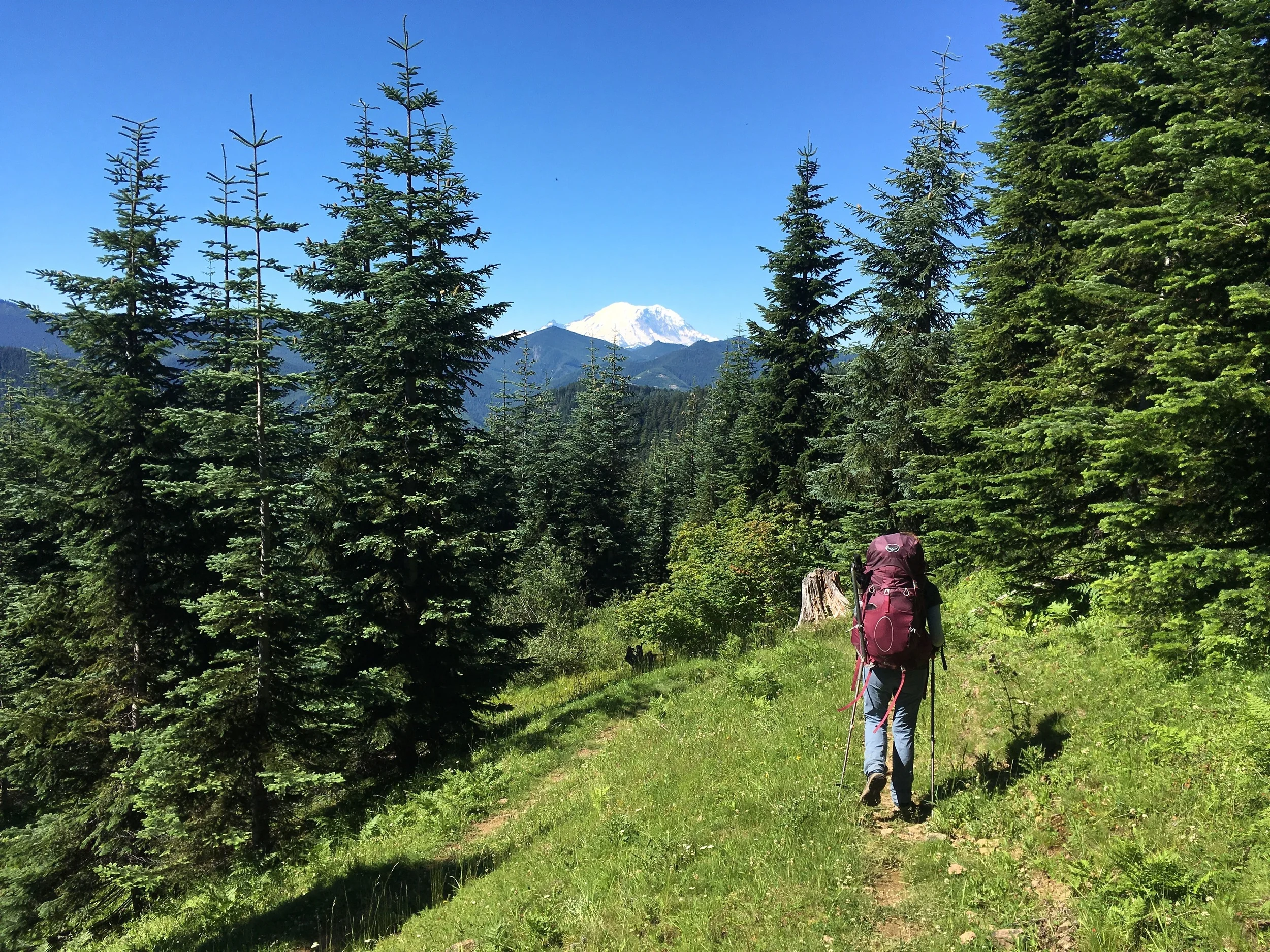 Cheri heading down trail under the gaze of Mt Rainier.