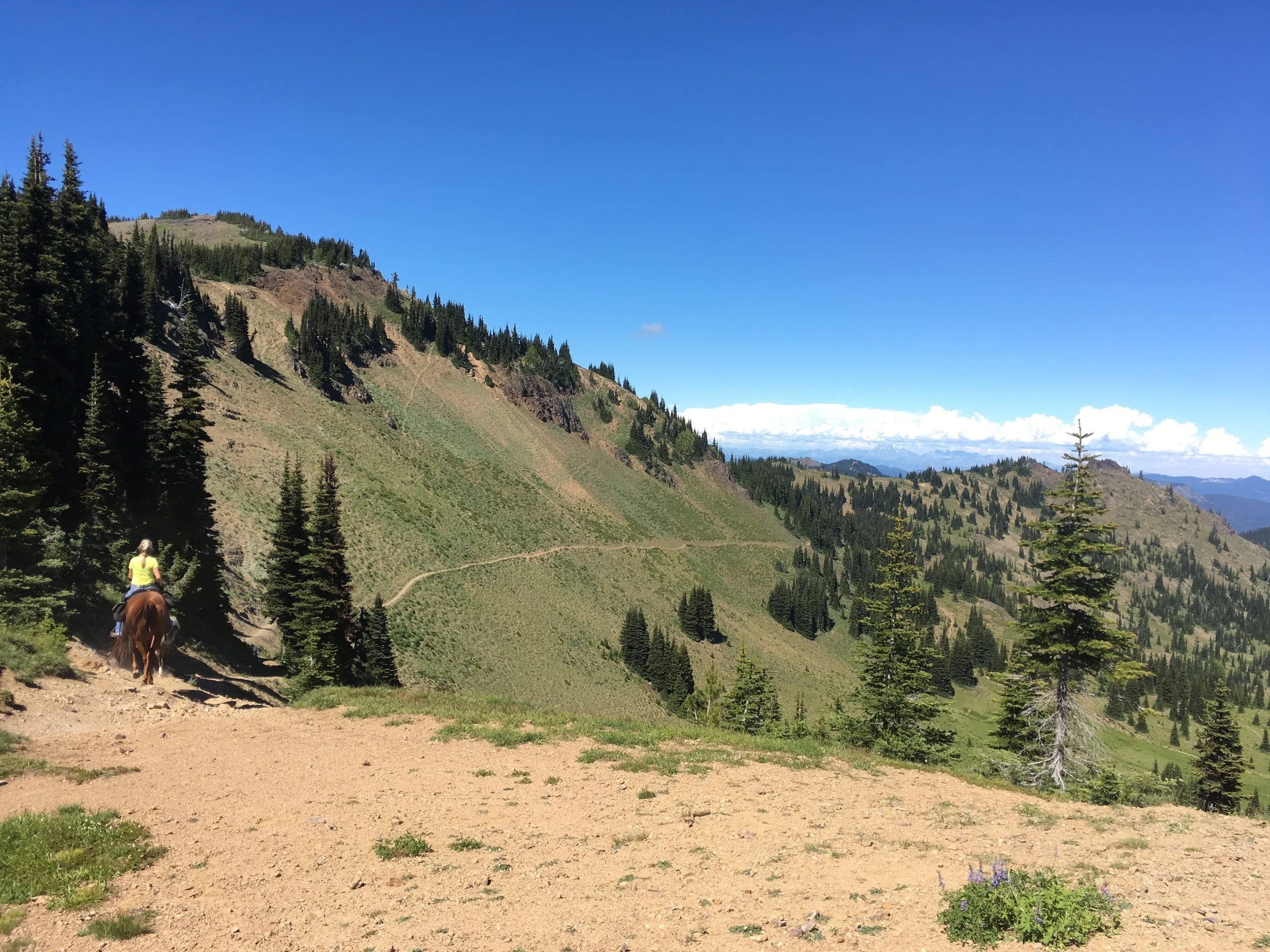 Horsewomen heading down the narrow traverse to Big Crow Basin.