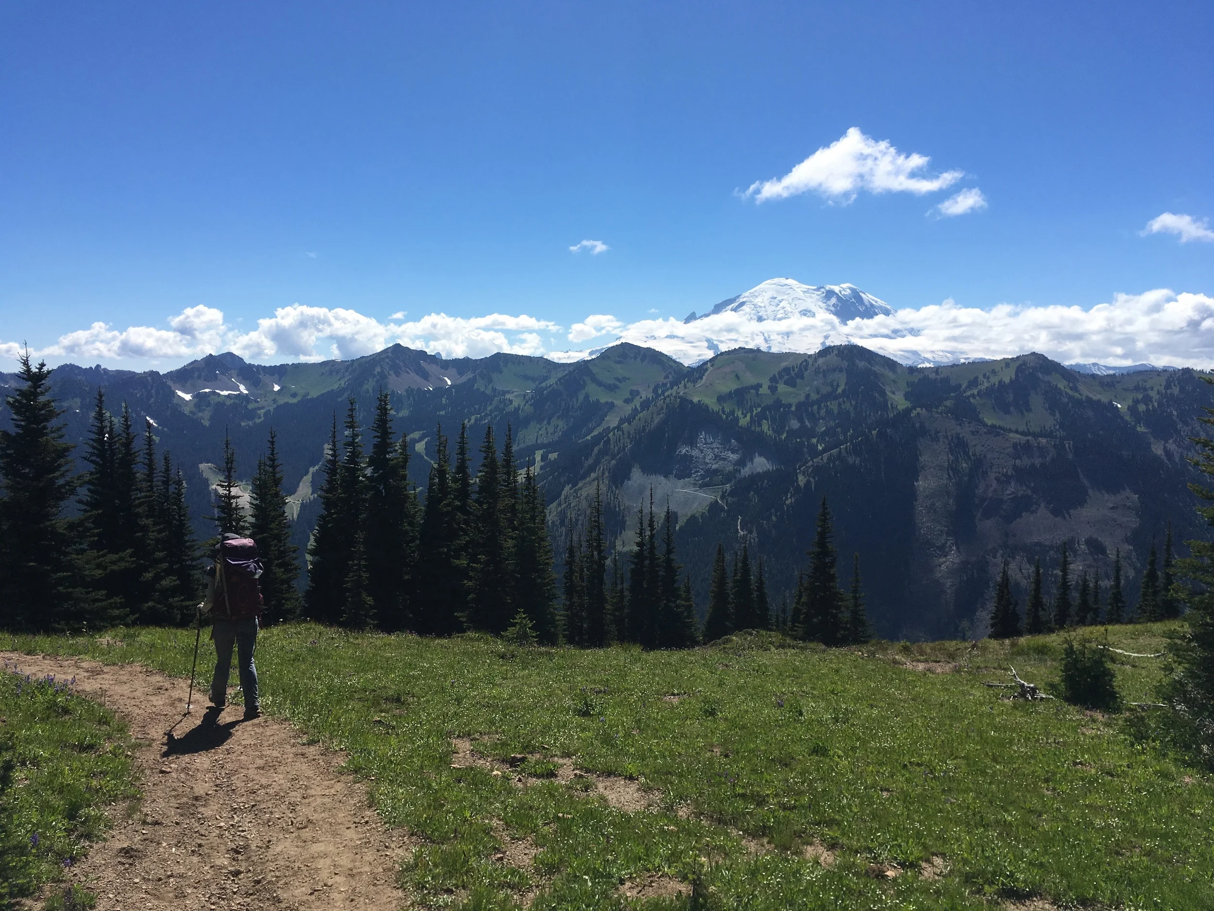 Just Wow. Mt Rainier from Scout Pass.