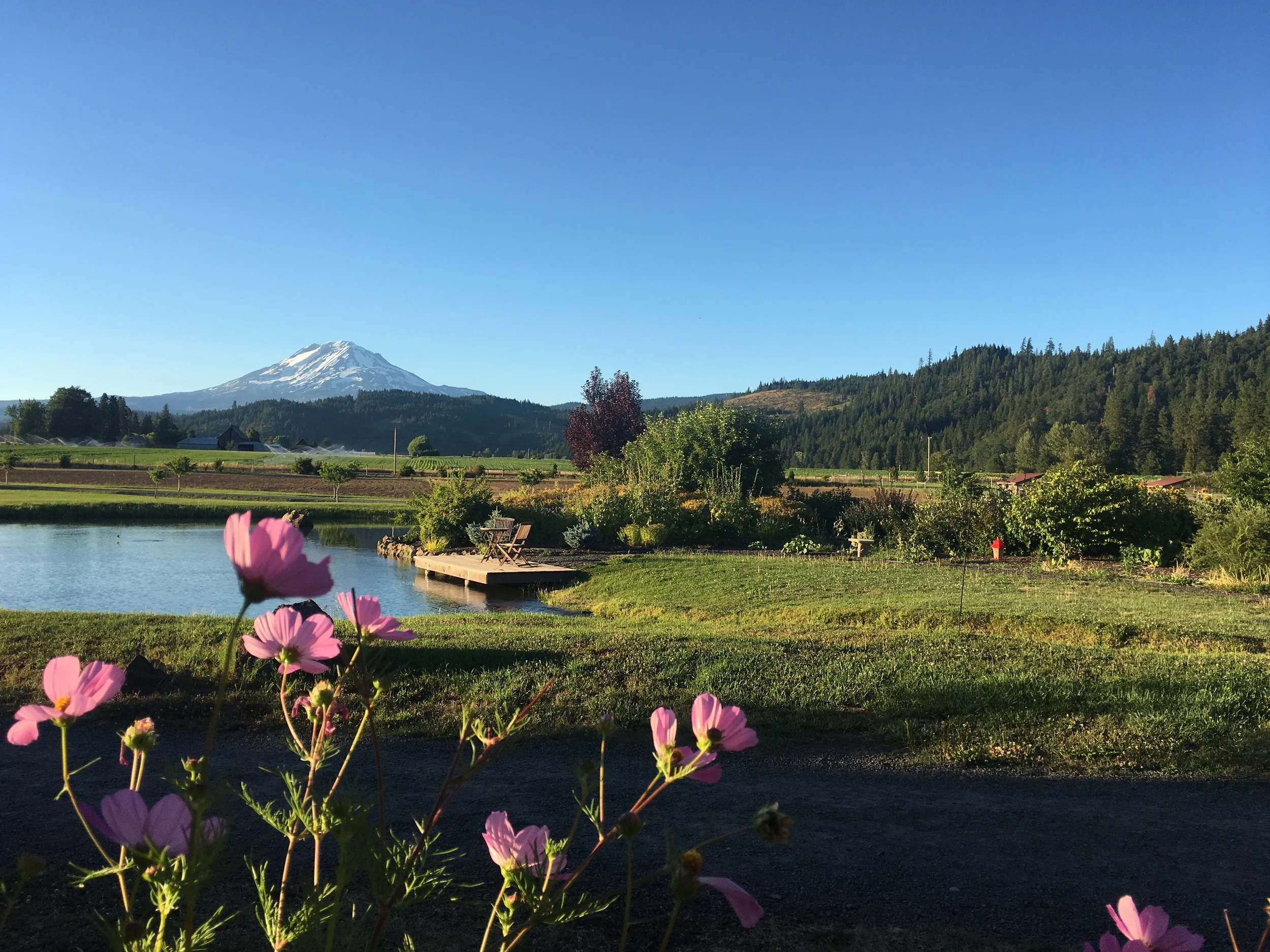 View from the front porch of Trout Lake Abbey. Can't believe we are here.