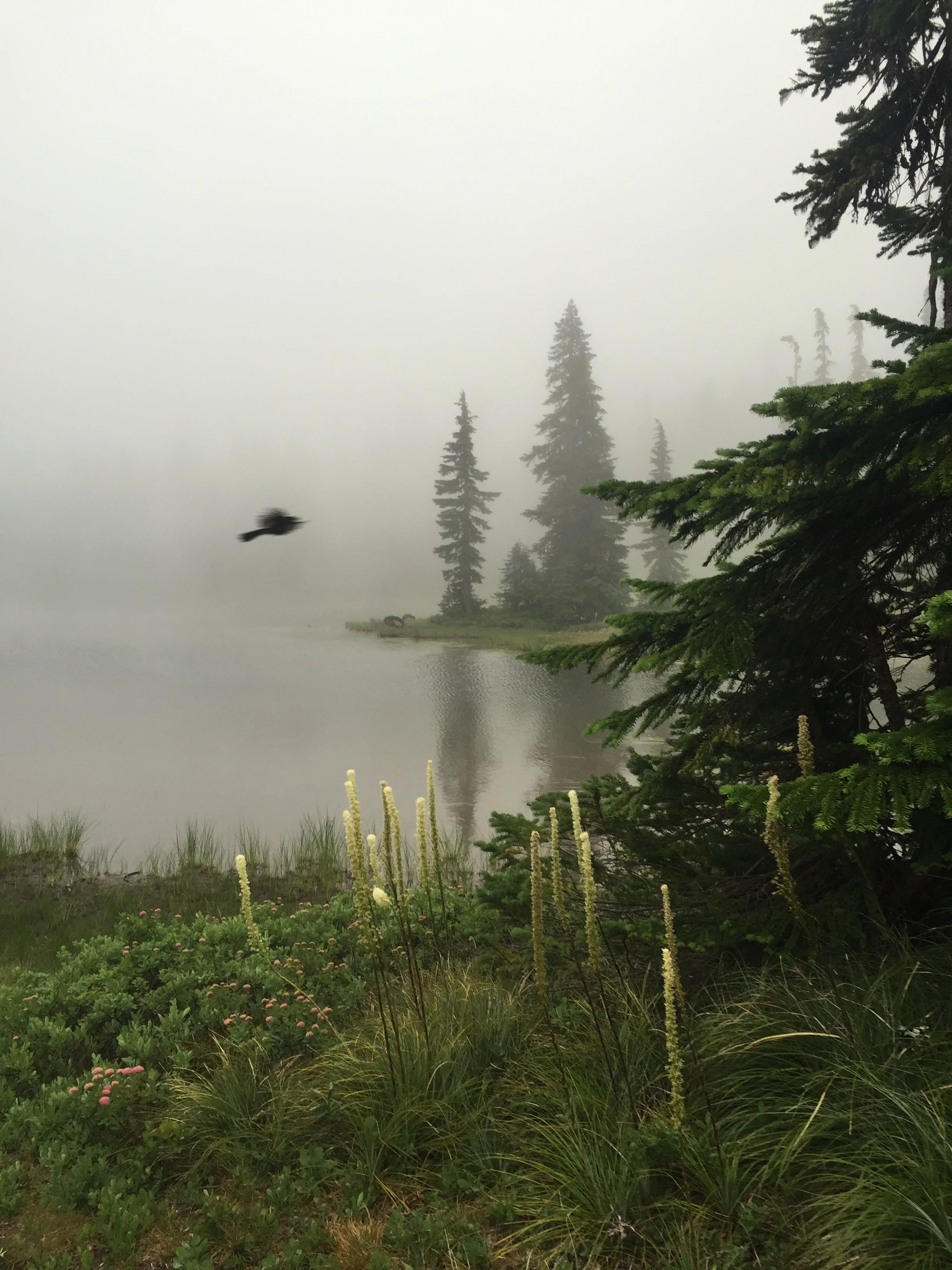 Junction Lake from our campsite in the morning