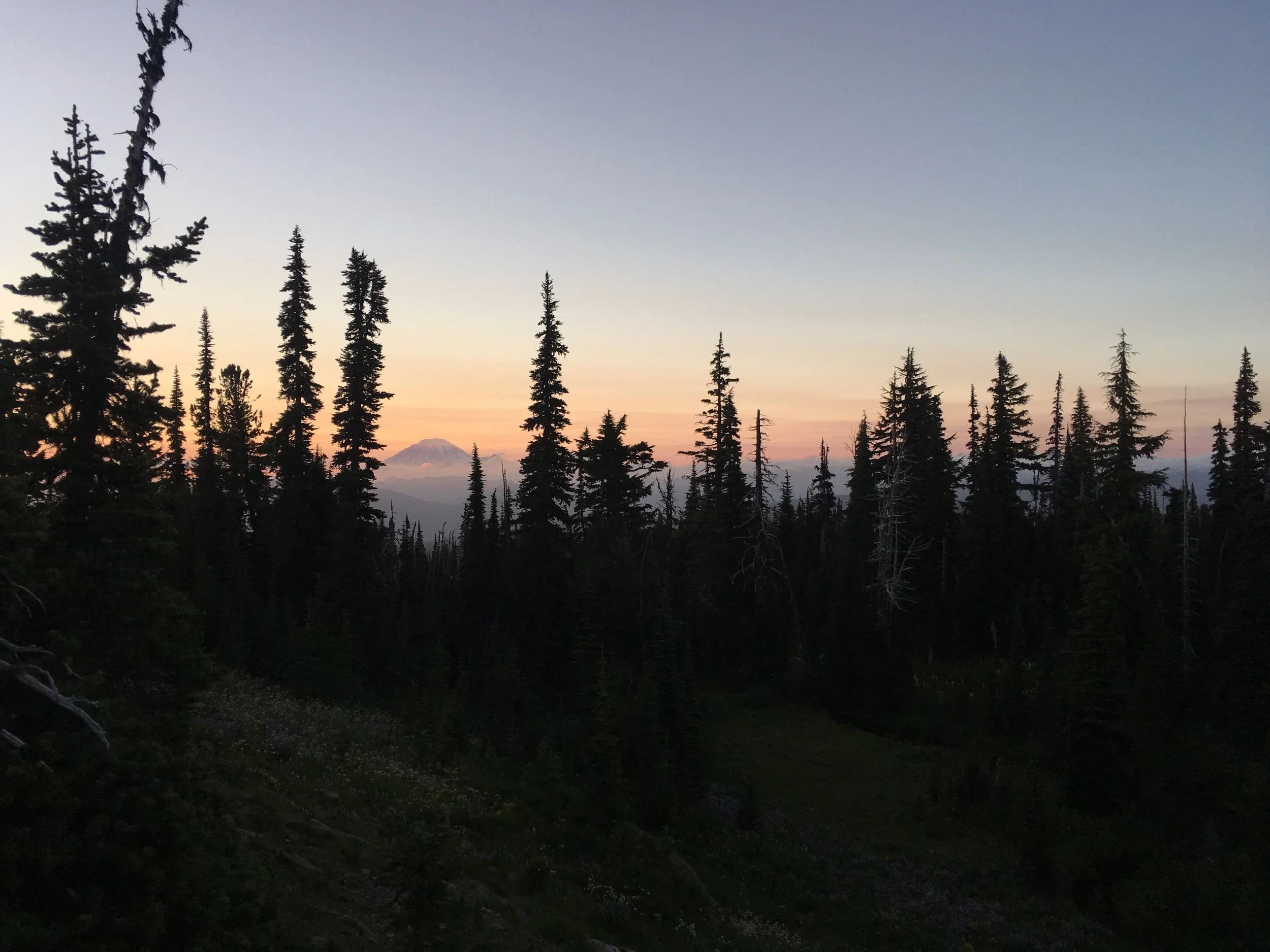 Rainier at dusk from our campsite at Killen Creek.