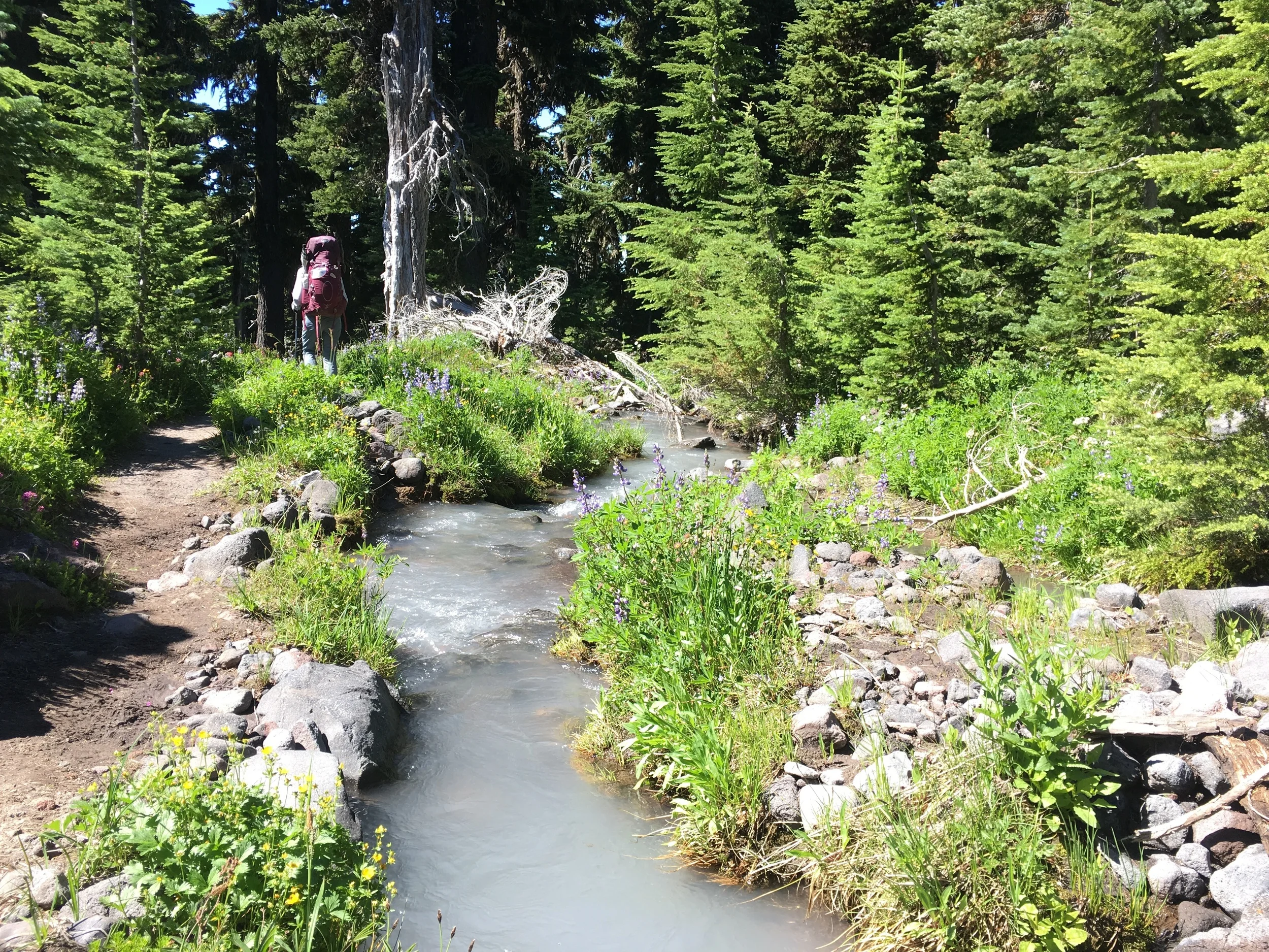 Lava creek- with its chocolate milk like silt (hikers get hungry hence food metaphors).