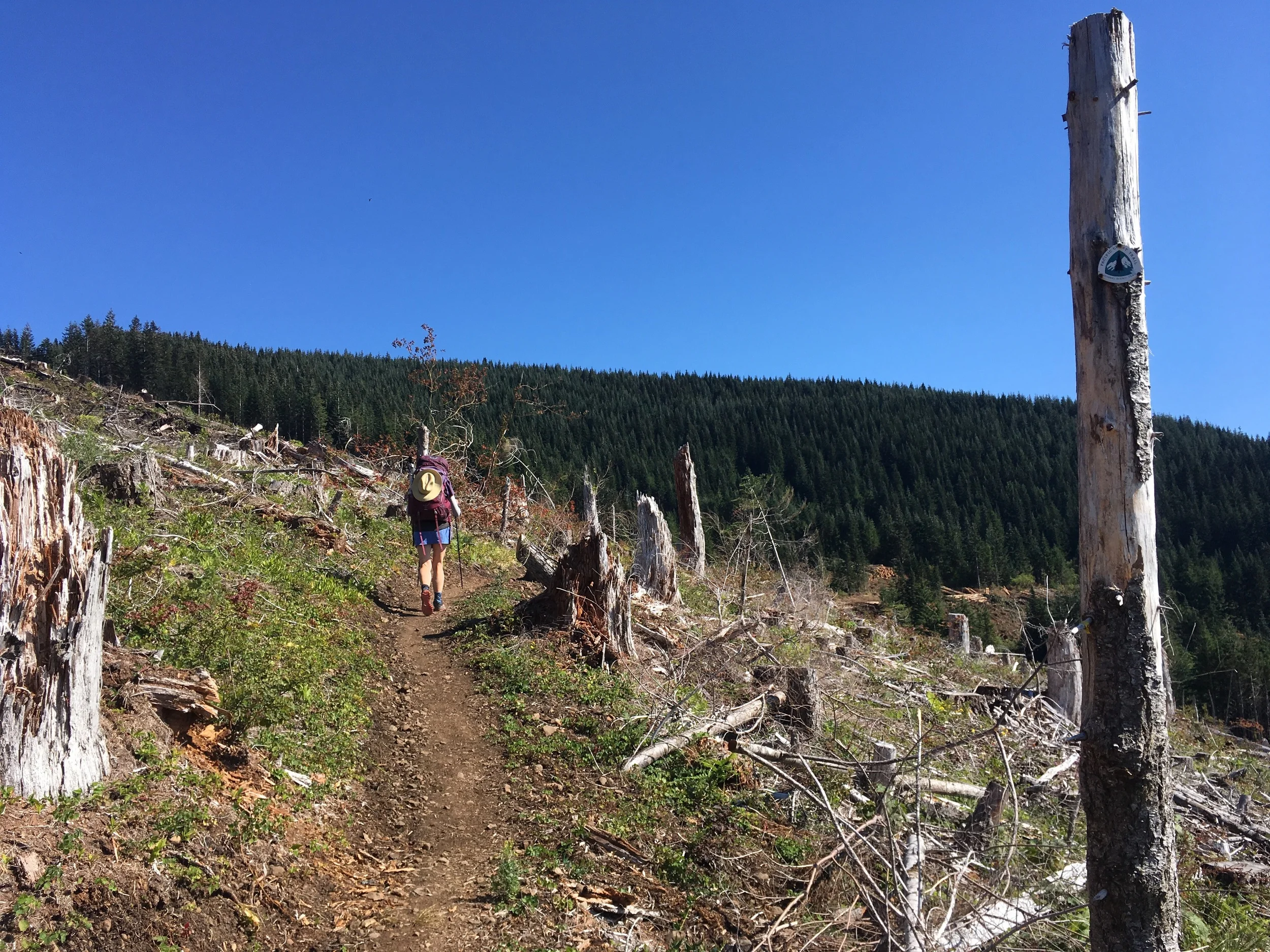 The blast furnace on the PCT.