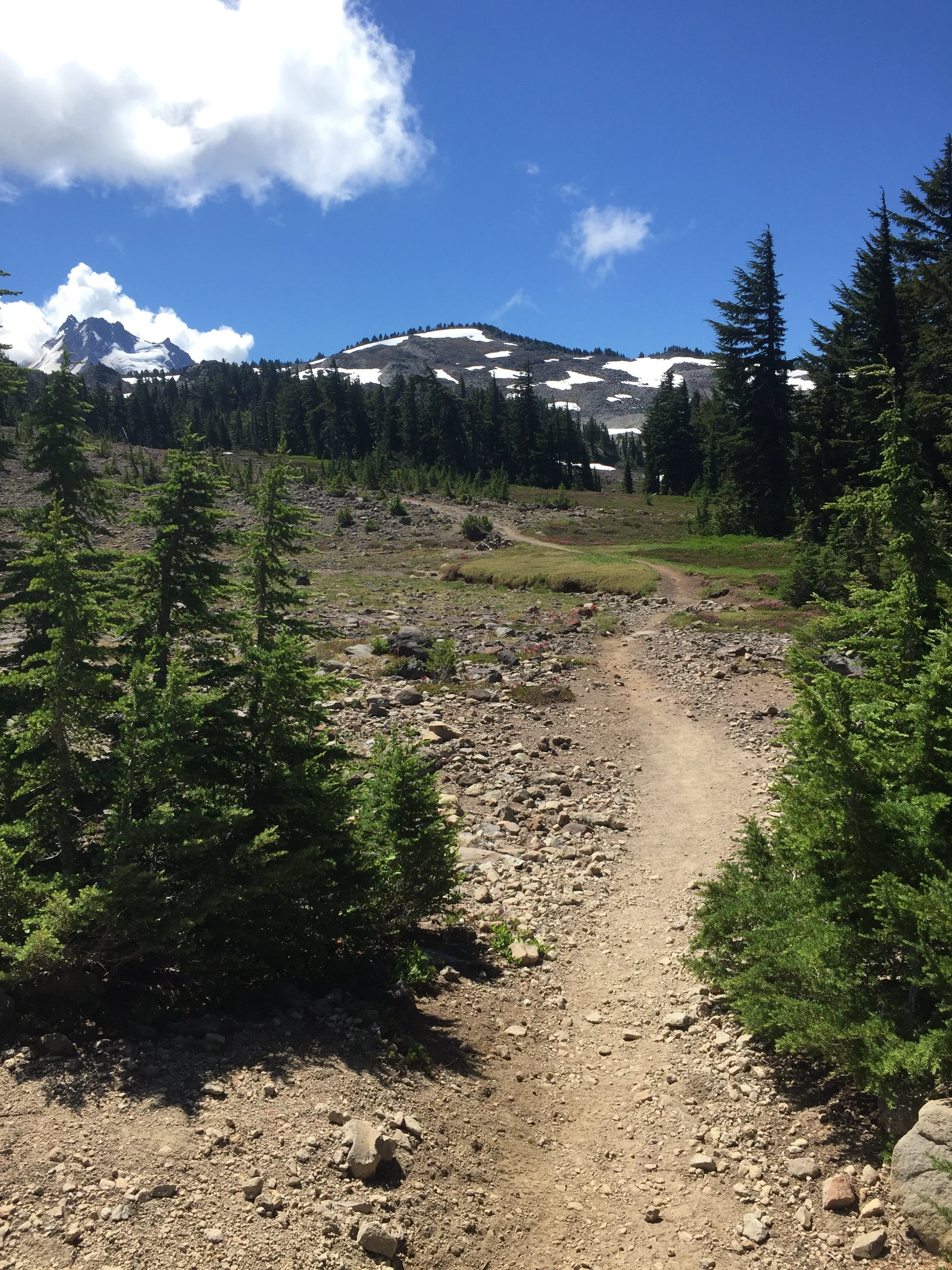 Mt Jefferson gets closer all morning long as we climb through increasingly alpine terrain