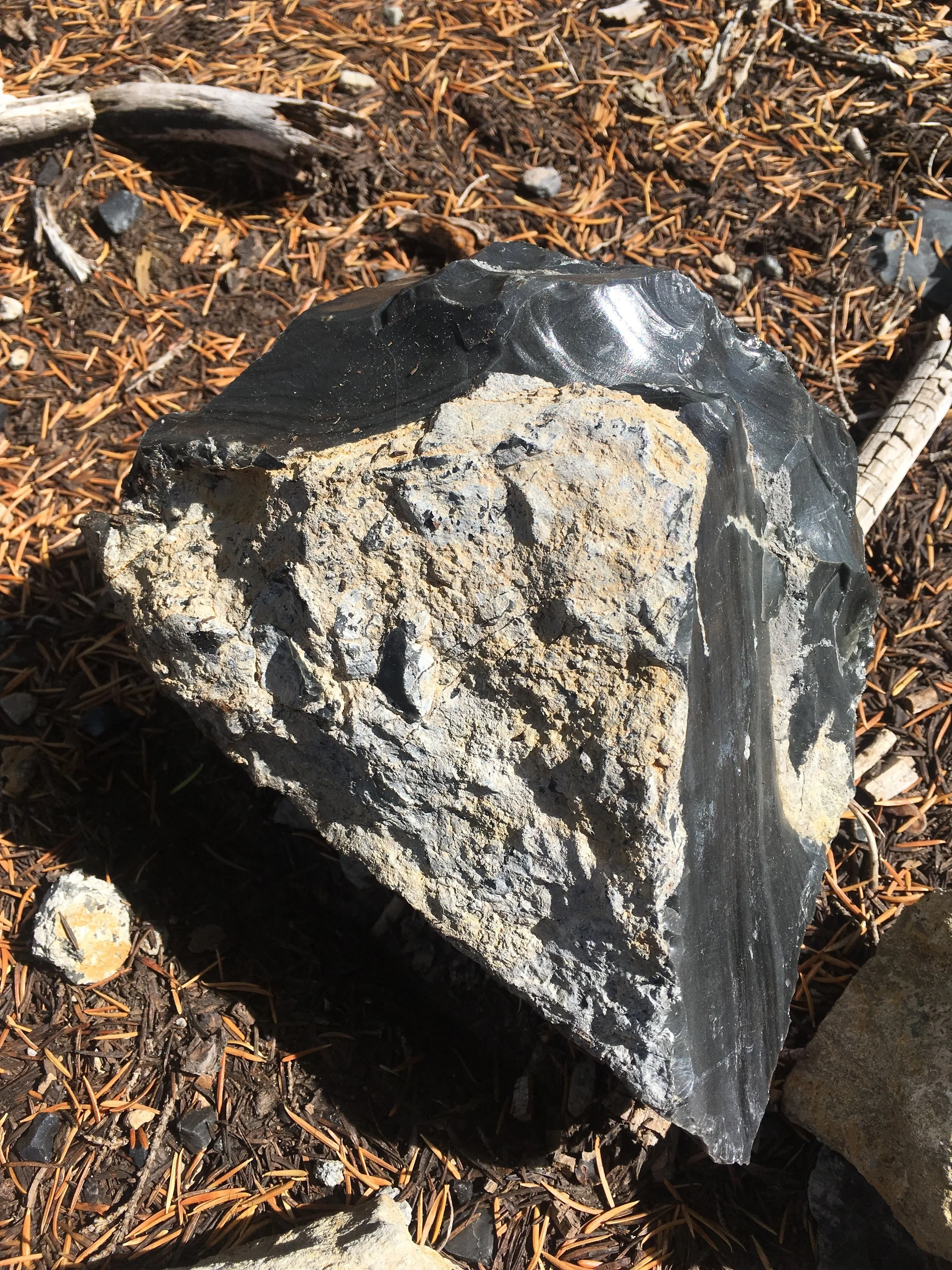Obsidian vein glimmering in the sunlight