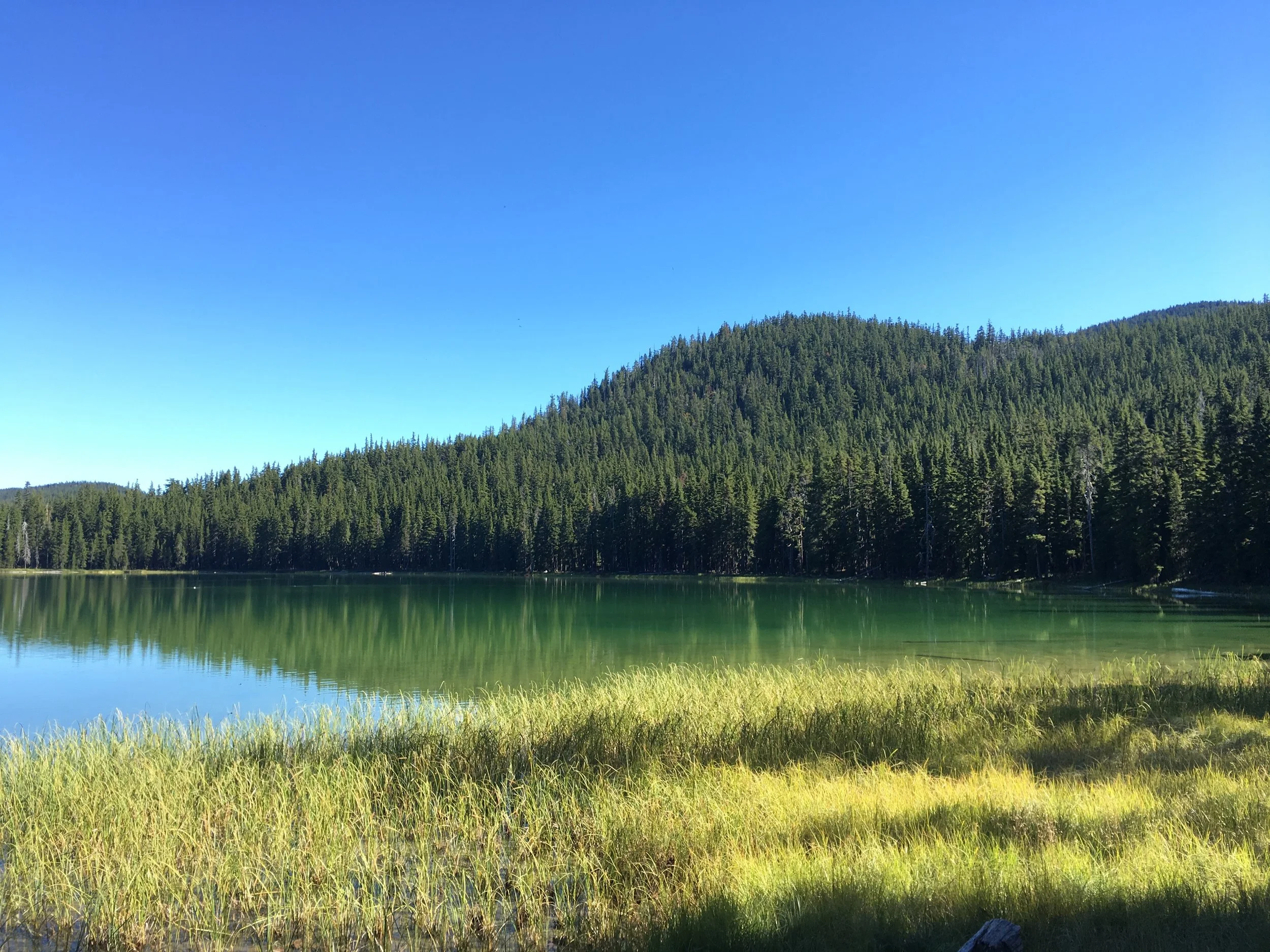 Maidu Lake in the morning light. It looks much more inviting than it did at 10:30PM the night before. 