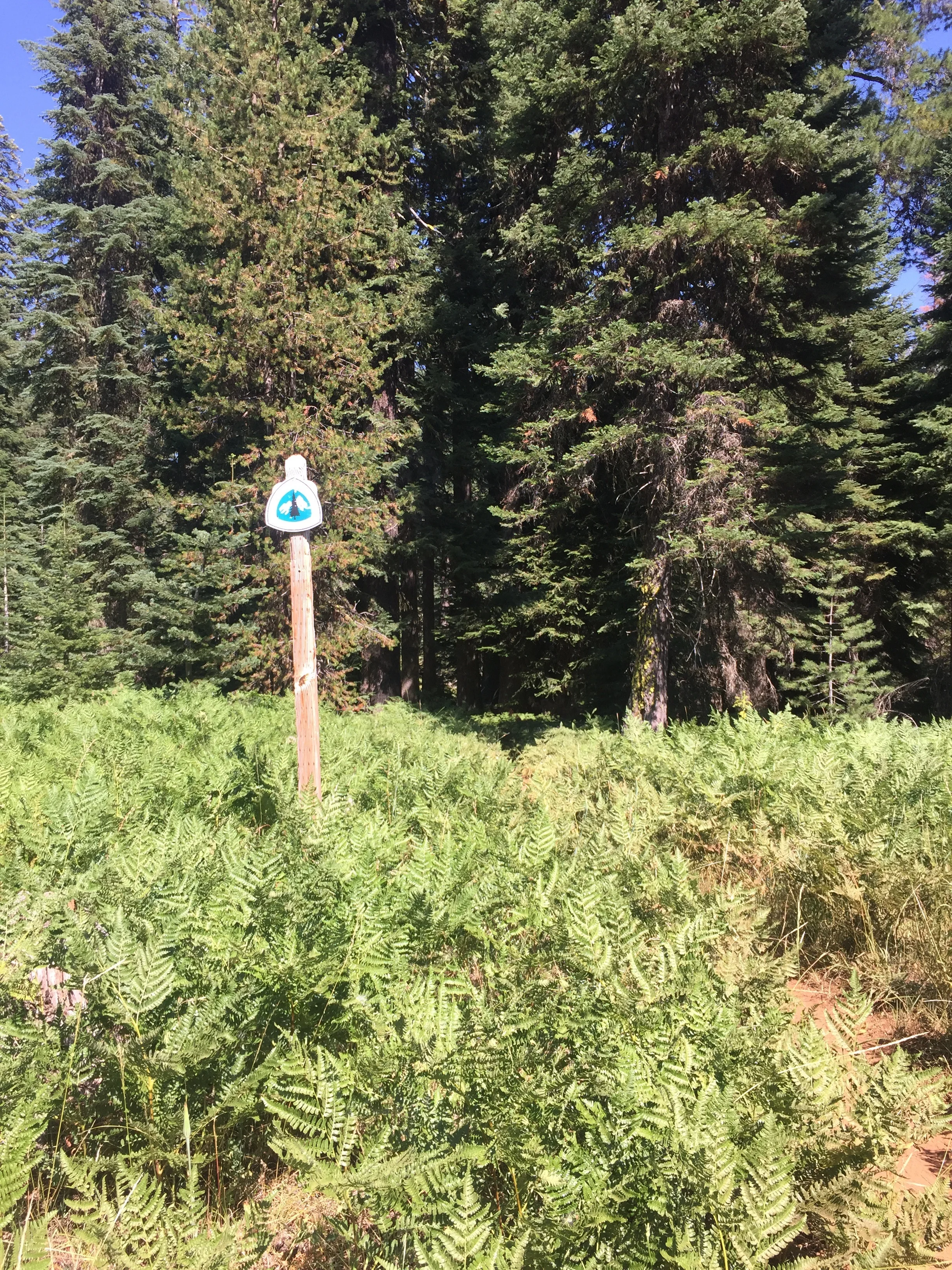 PCT signs on BLM land are pretty huge