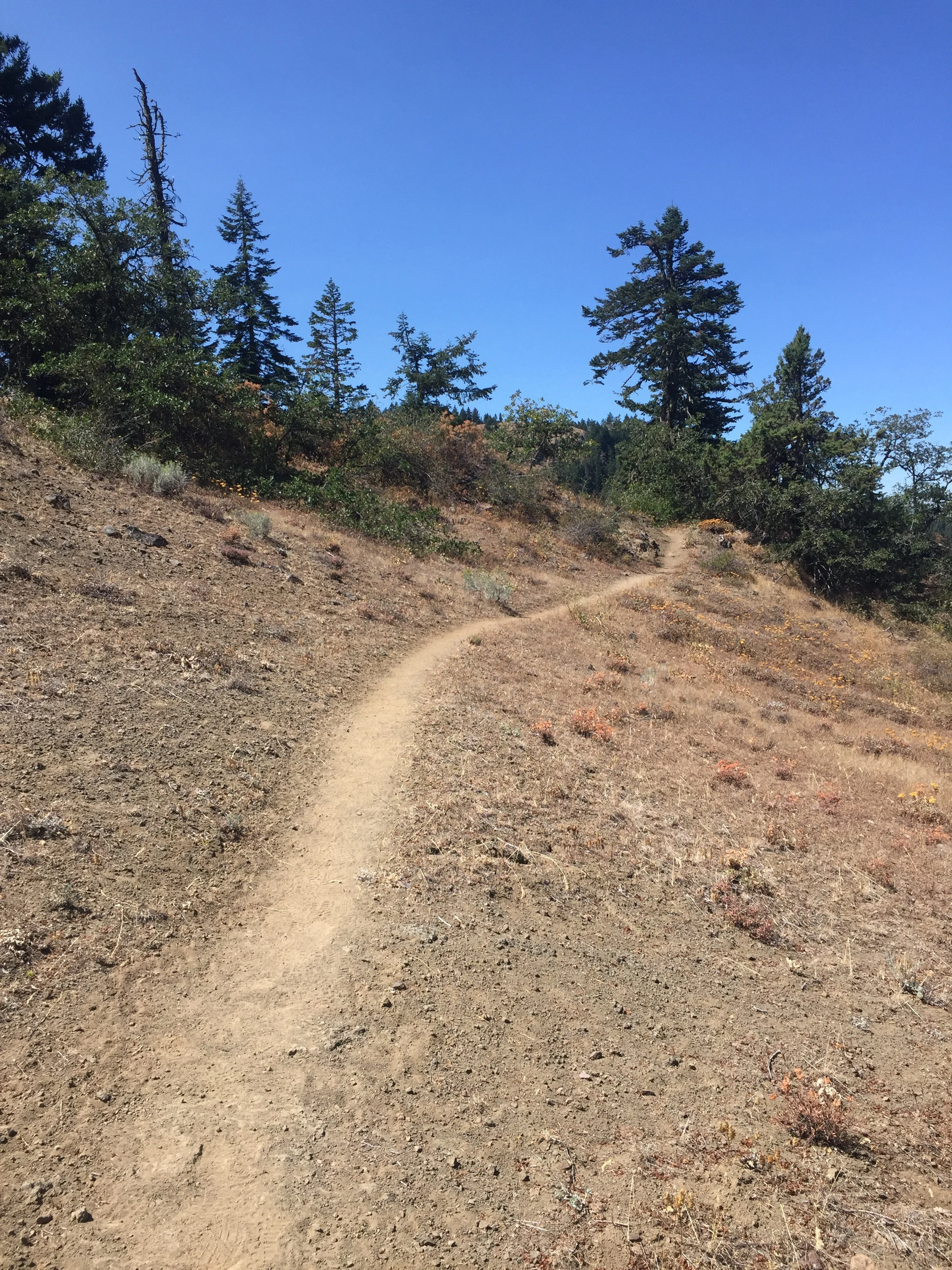 We did cross a few hot, dry, exposed slopes in the late afternoon around Pilot Rock