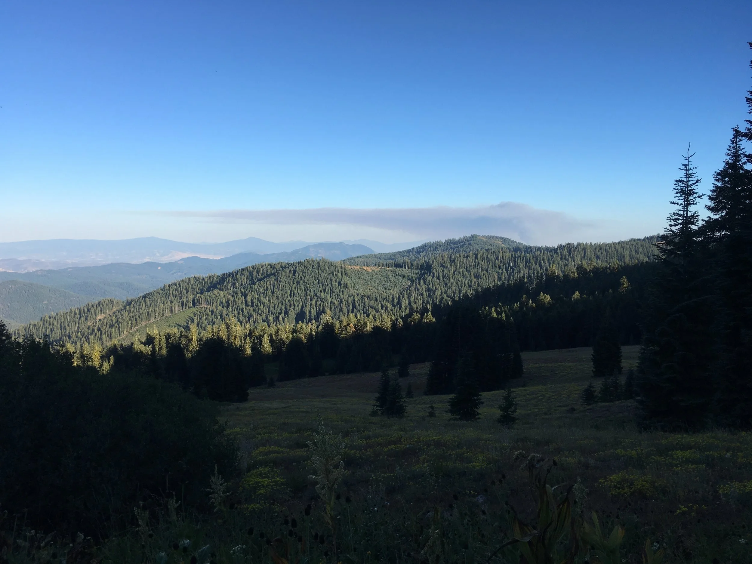 Same ridgeline 3 hours later and a much larger plume. 