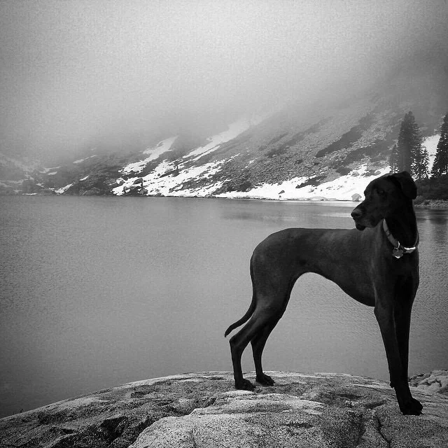 Wild Mountain Sula circa 2008.