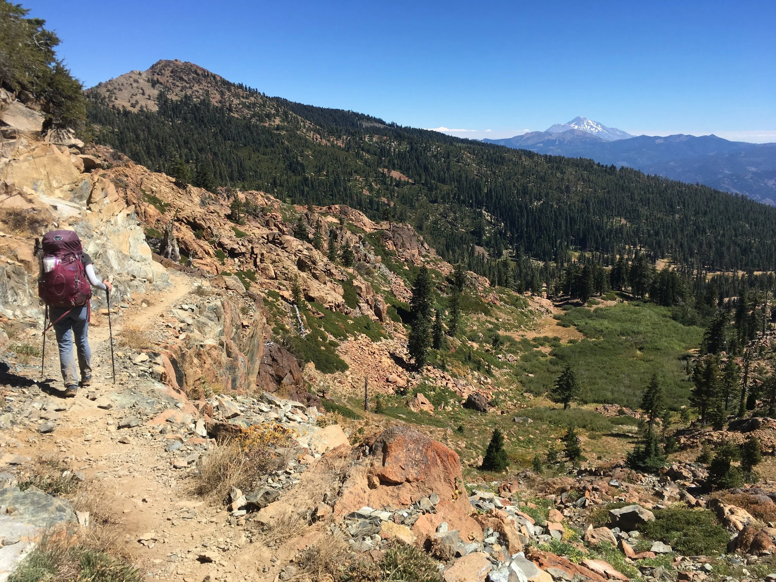 A day later, Huckleberry taking in the view of Shasta from the Trinities. Getting closer... 